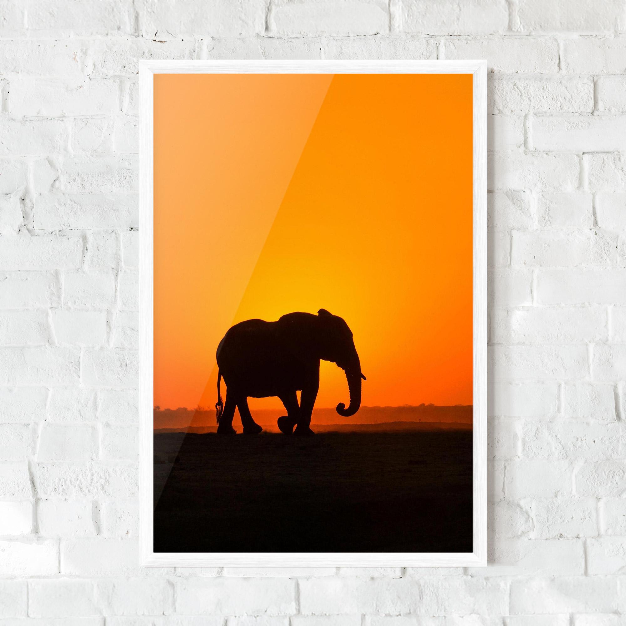 Plakat w Ramie Beautiful Elephant mockup 0