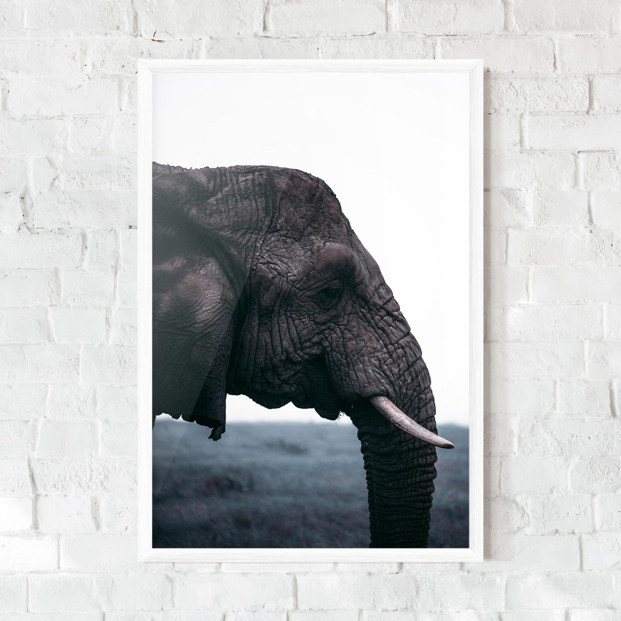 Plakat w Ramie Close Grey Eelephant mockup 0