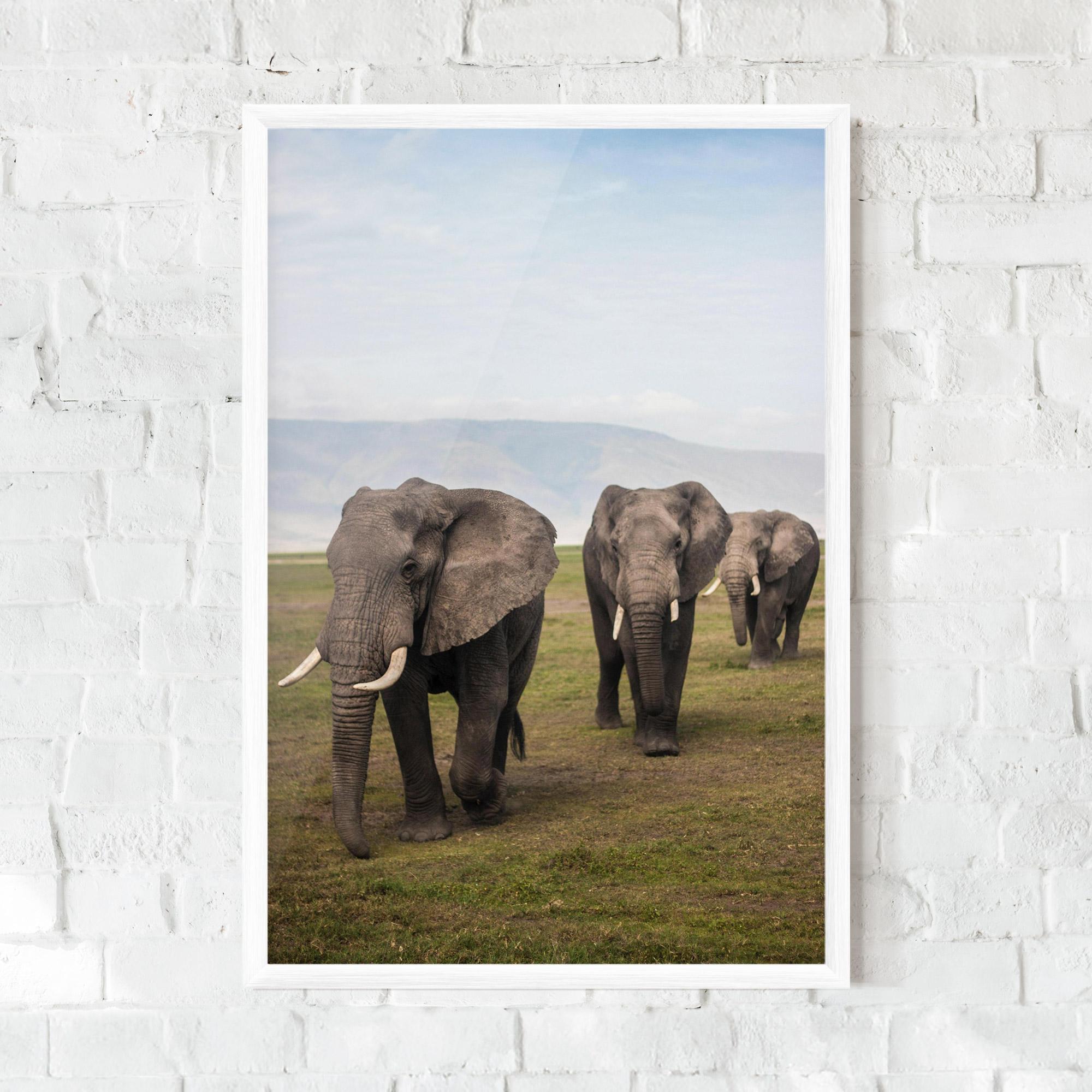 Plakat w Ramie Elephant Landscape mockup 0
