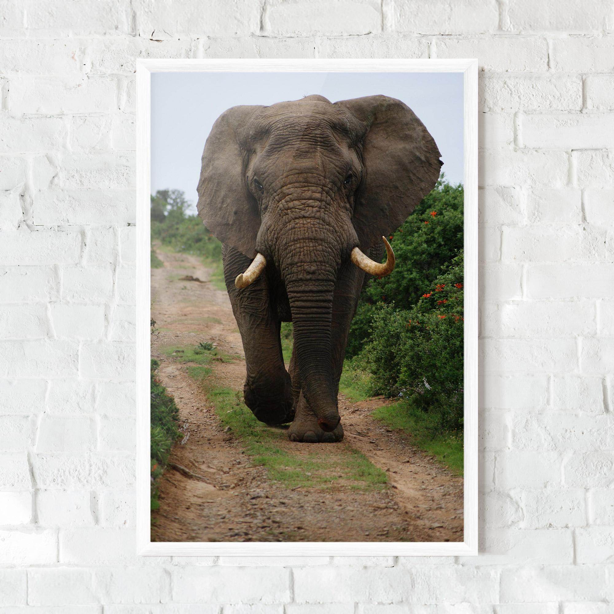 Plakat w Ramie Elephant Safari mockup 0