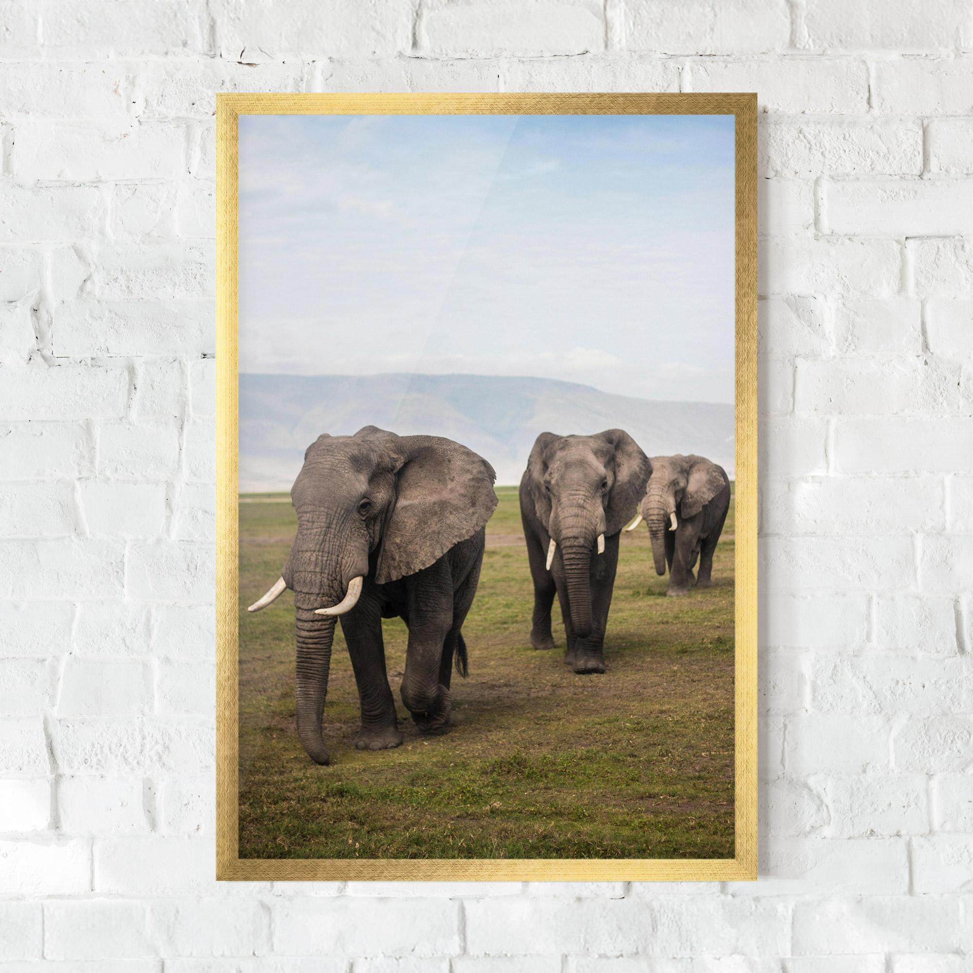 Plakat w Ramie Elephant Landscape mockup 0
