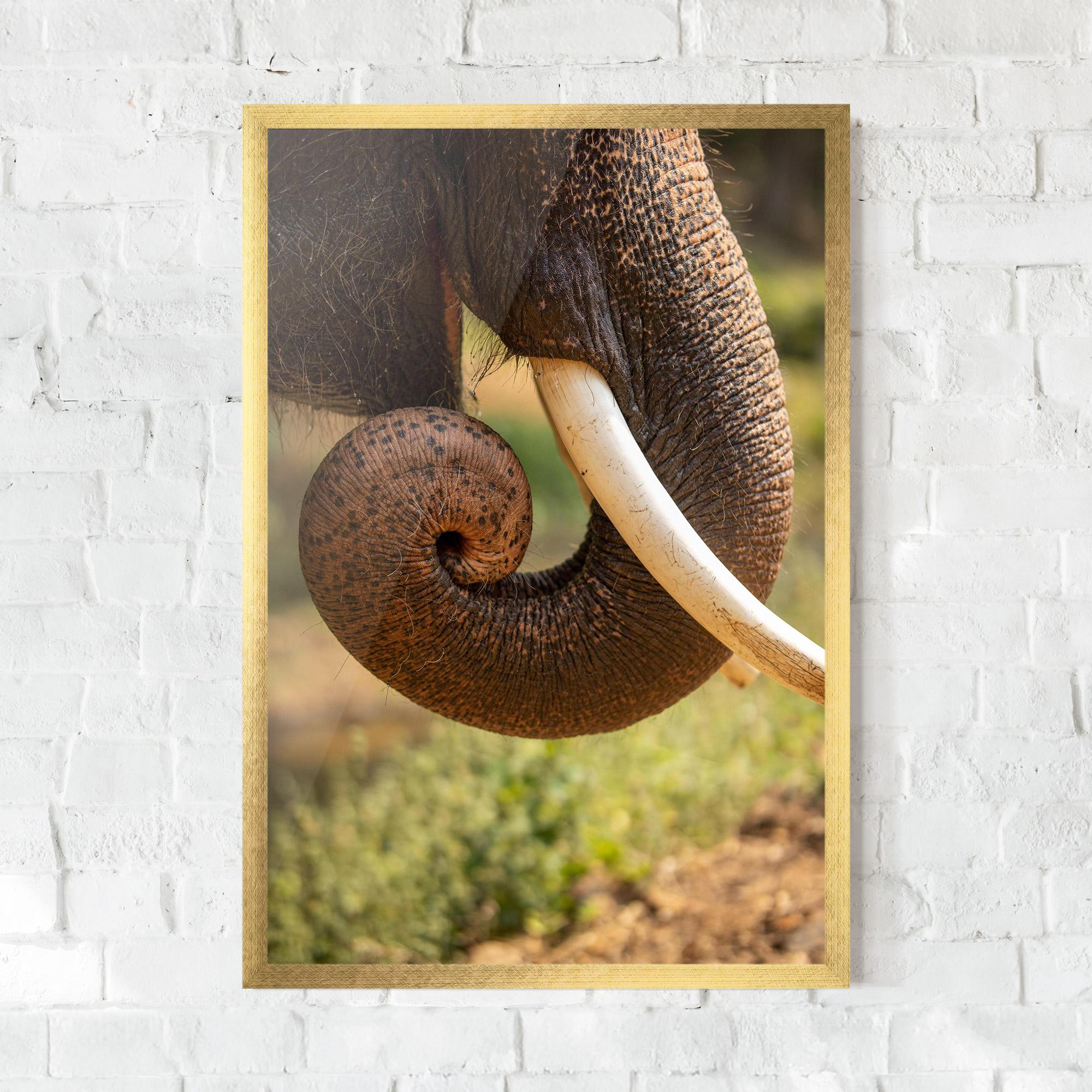 Plakat w Ramie Elephant Mouth Close Up mockup 0
