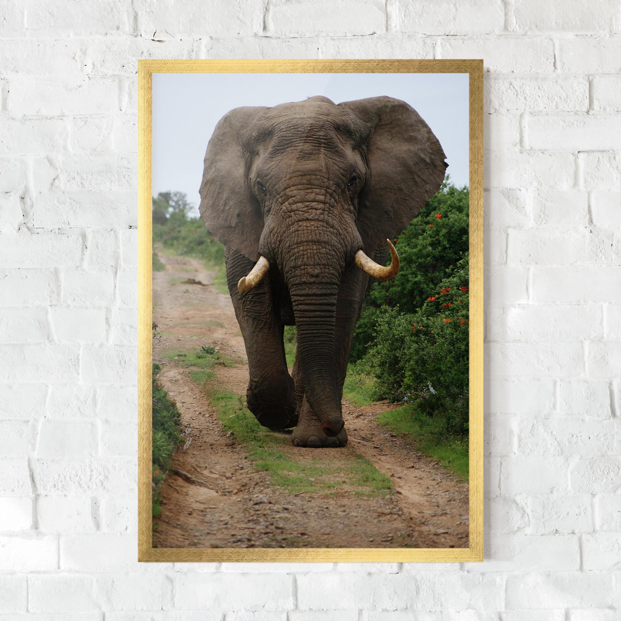 Plakat w Ramie Elephant Safari mockup 0