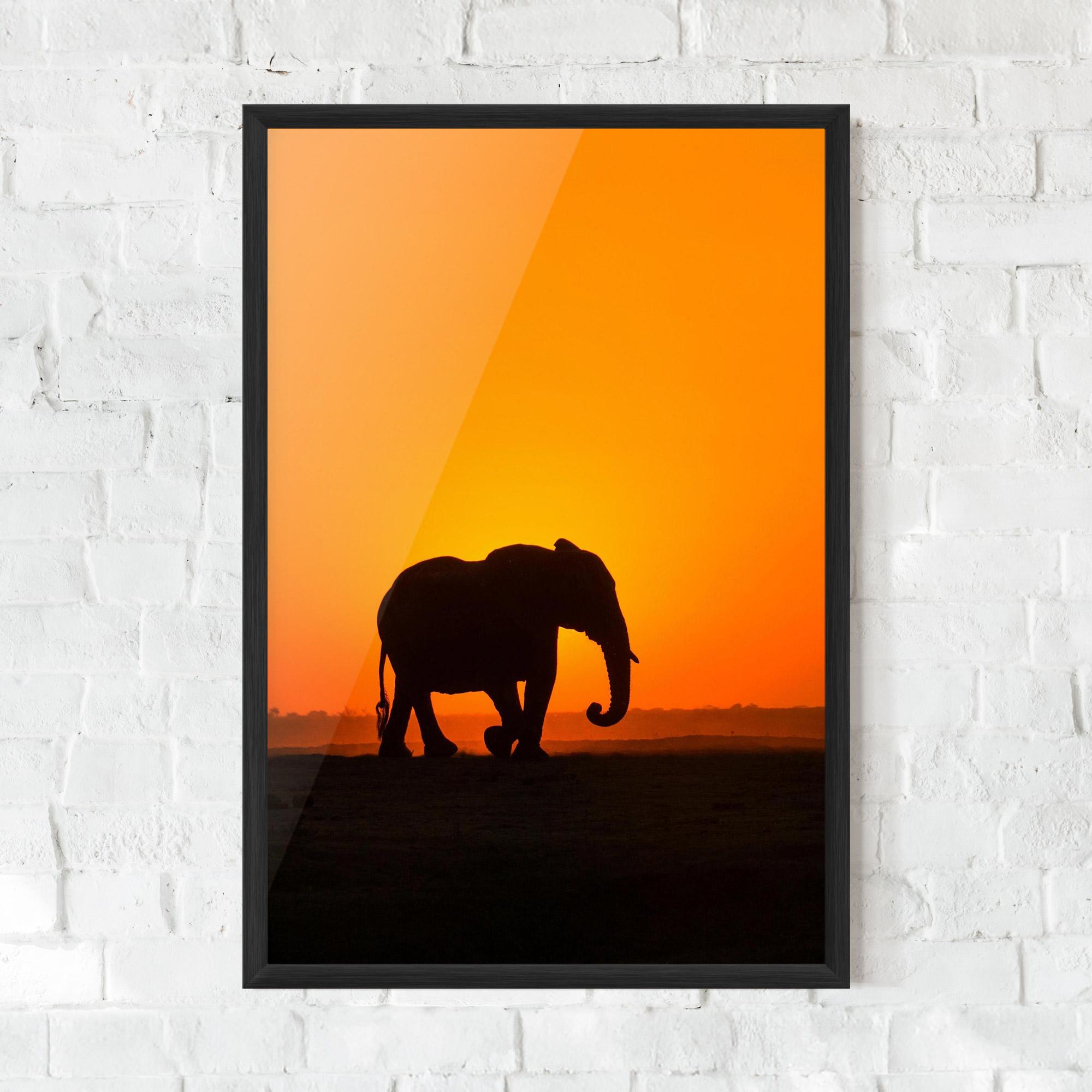 Plakat w Ramie Beautiful Elephant mockup 0