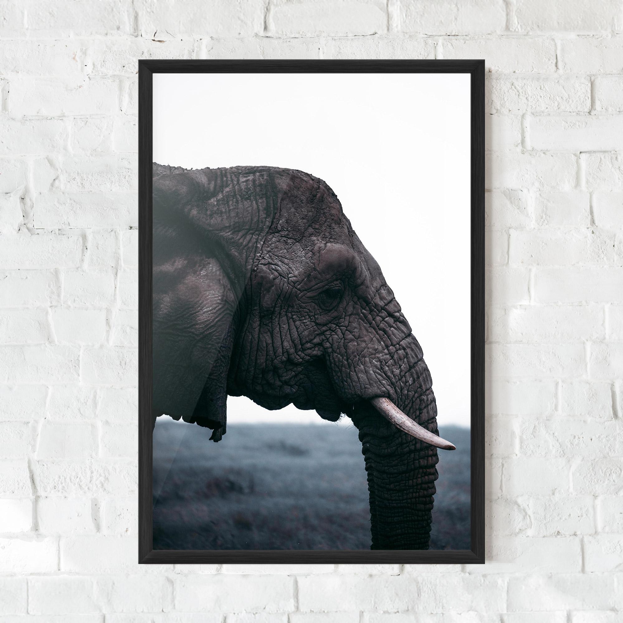 Plakat w Ramie Close Grey Eelephant mockup 0