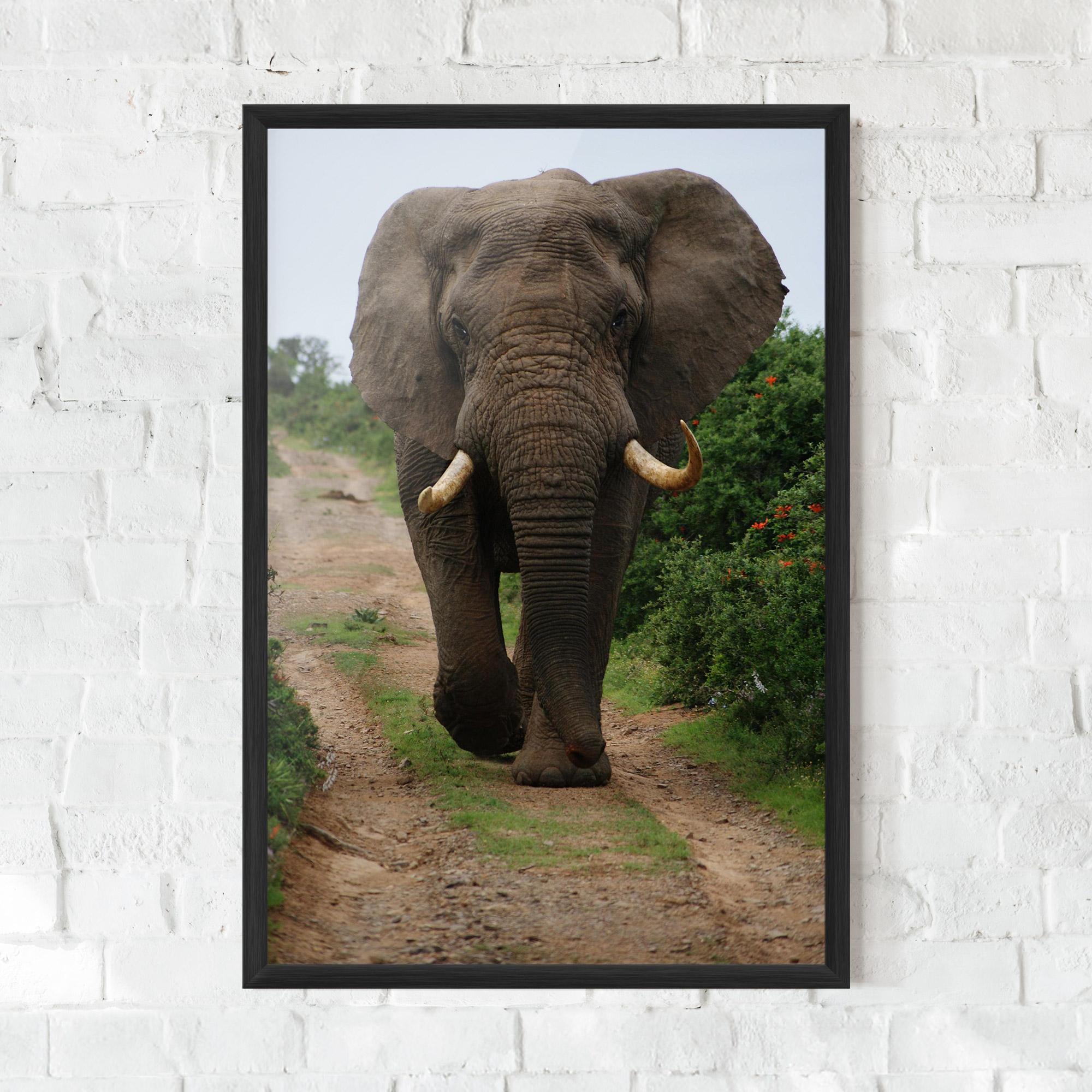 Plakat w Ramie Elephant Safari mockup 0