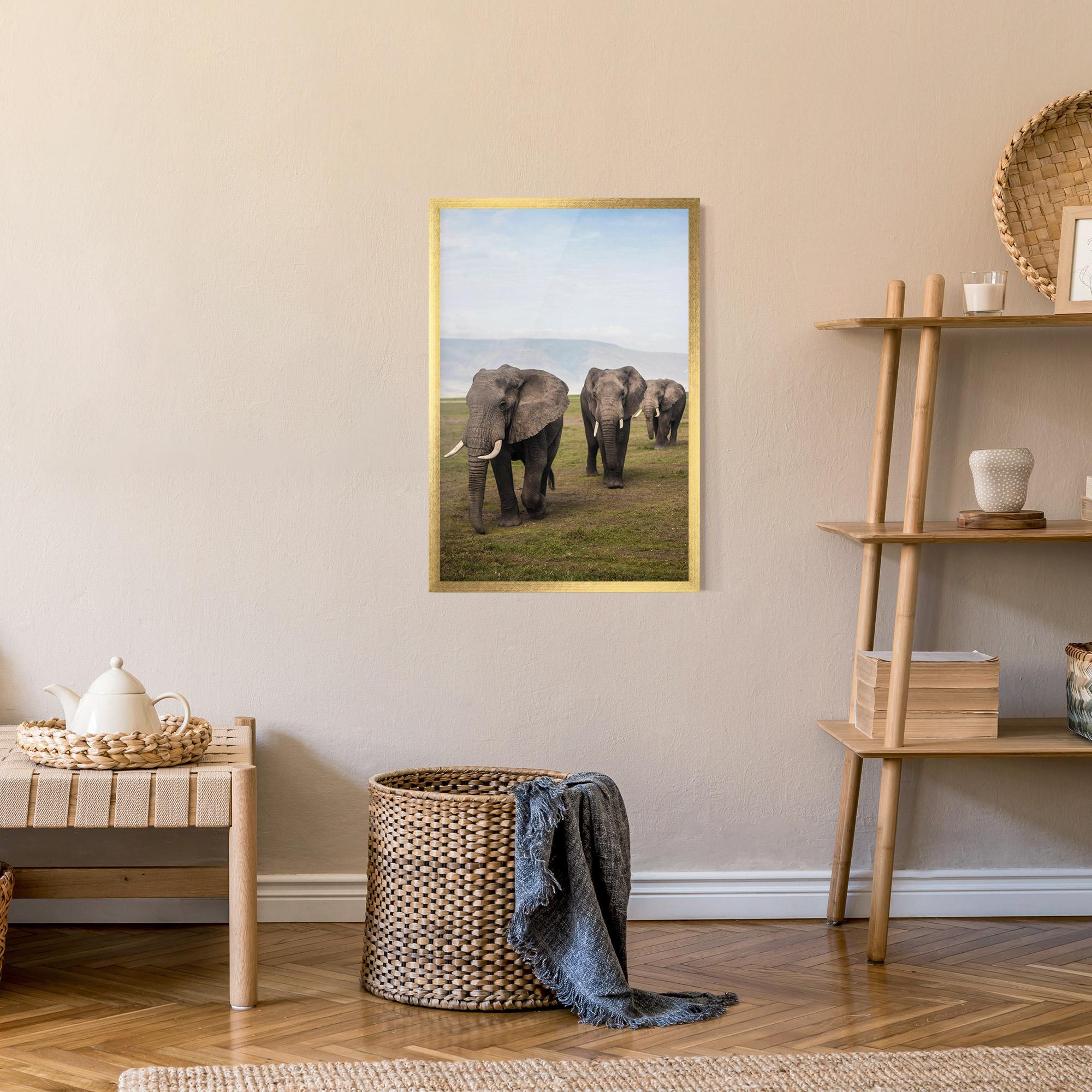 Plakat w Ramie Elephant Landscape mockup 9