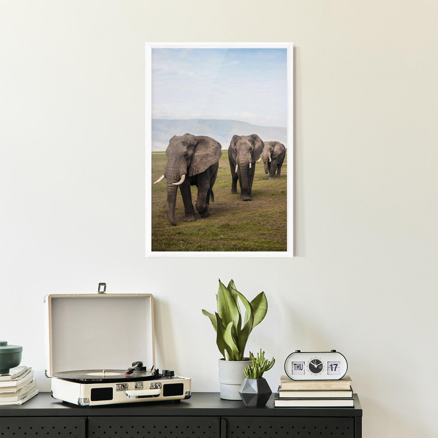 Plakat w Ramie Elephant Landscape mockup 2