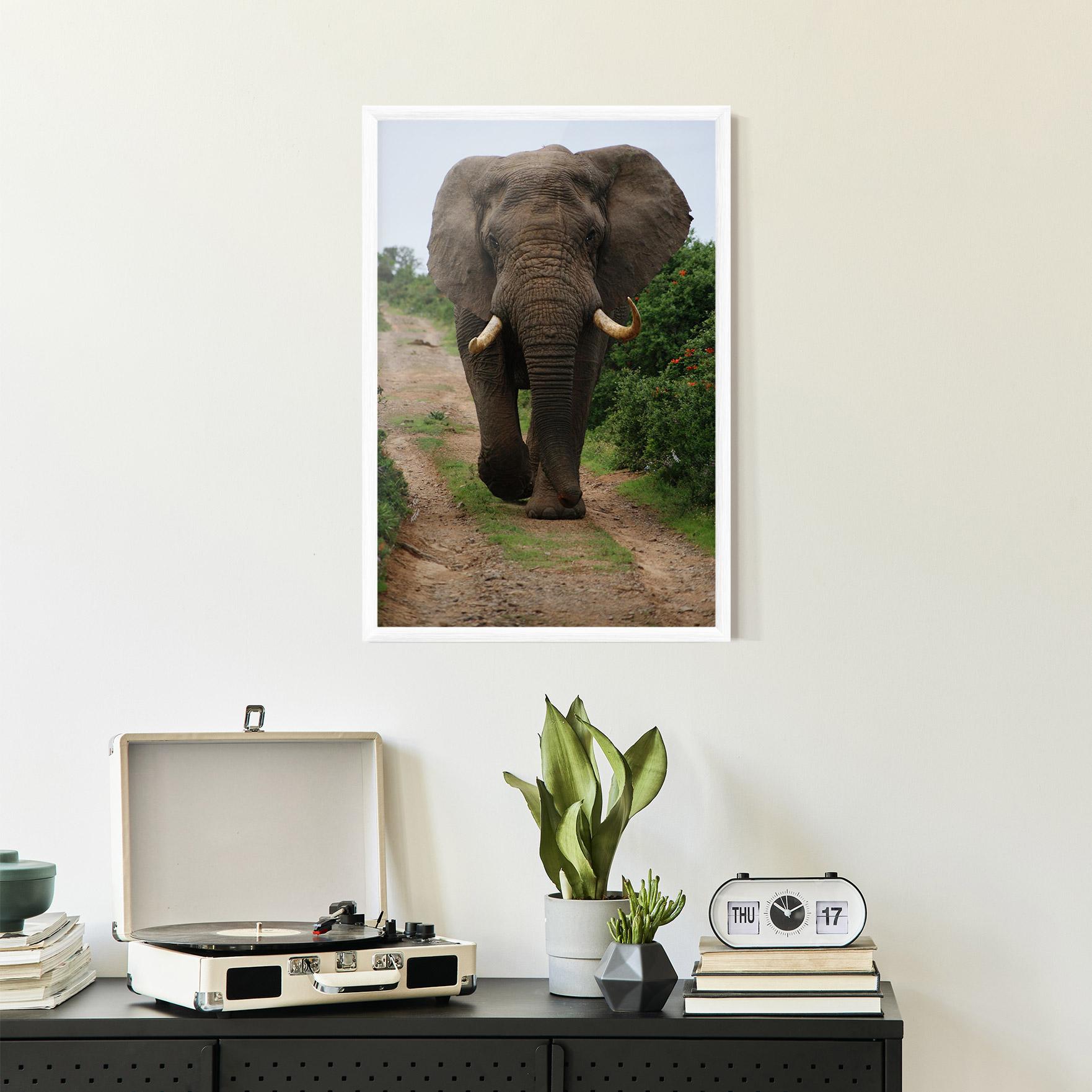 Plakat w Ramie Elephant Safari mockup 2
