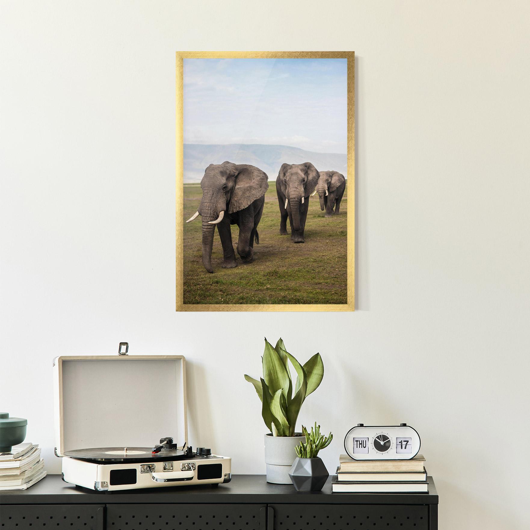 Plakat w Ramie Elephant Landscape mockup 2