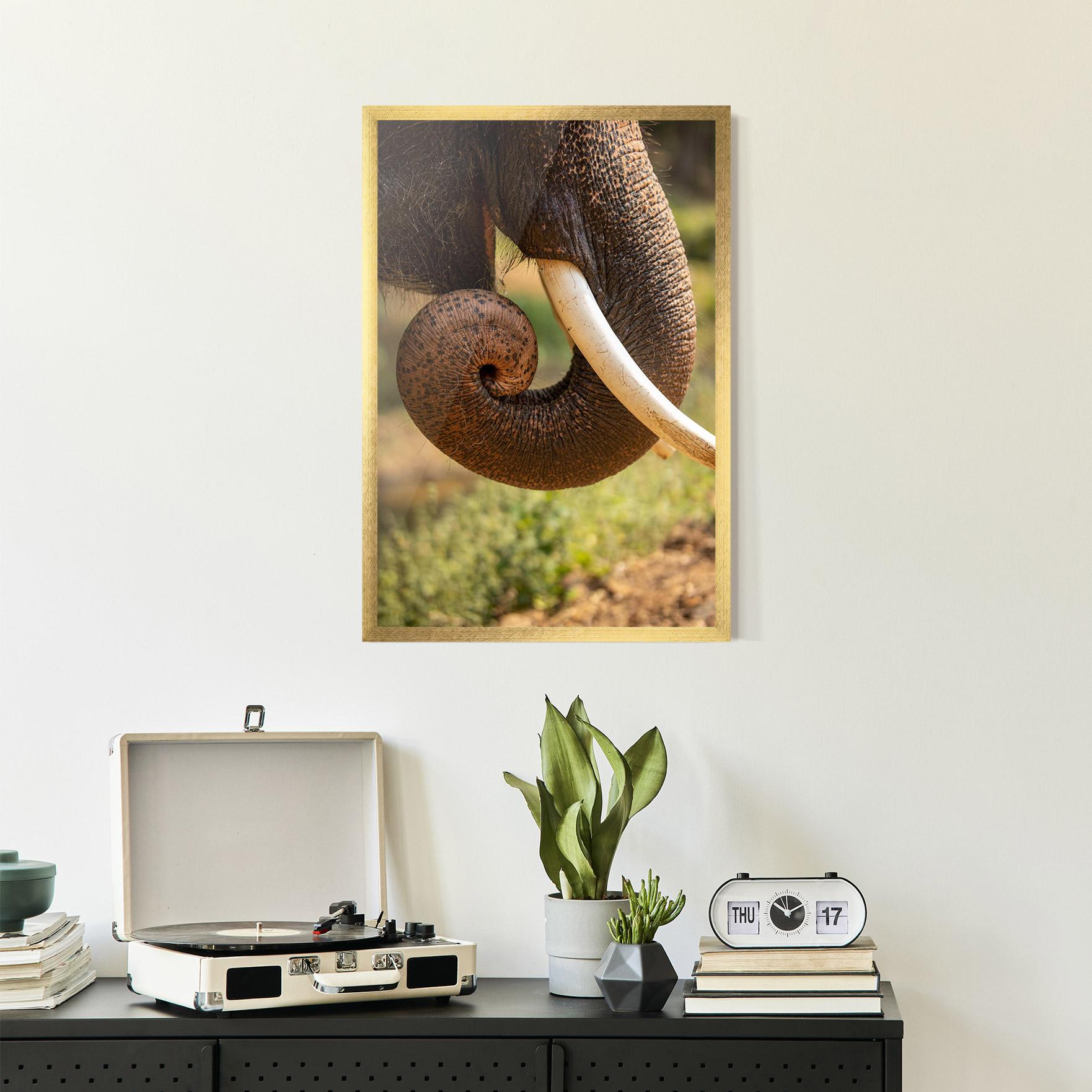 Plakat w Ramie Elephant Mouth Close Up mockup 2
