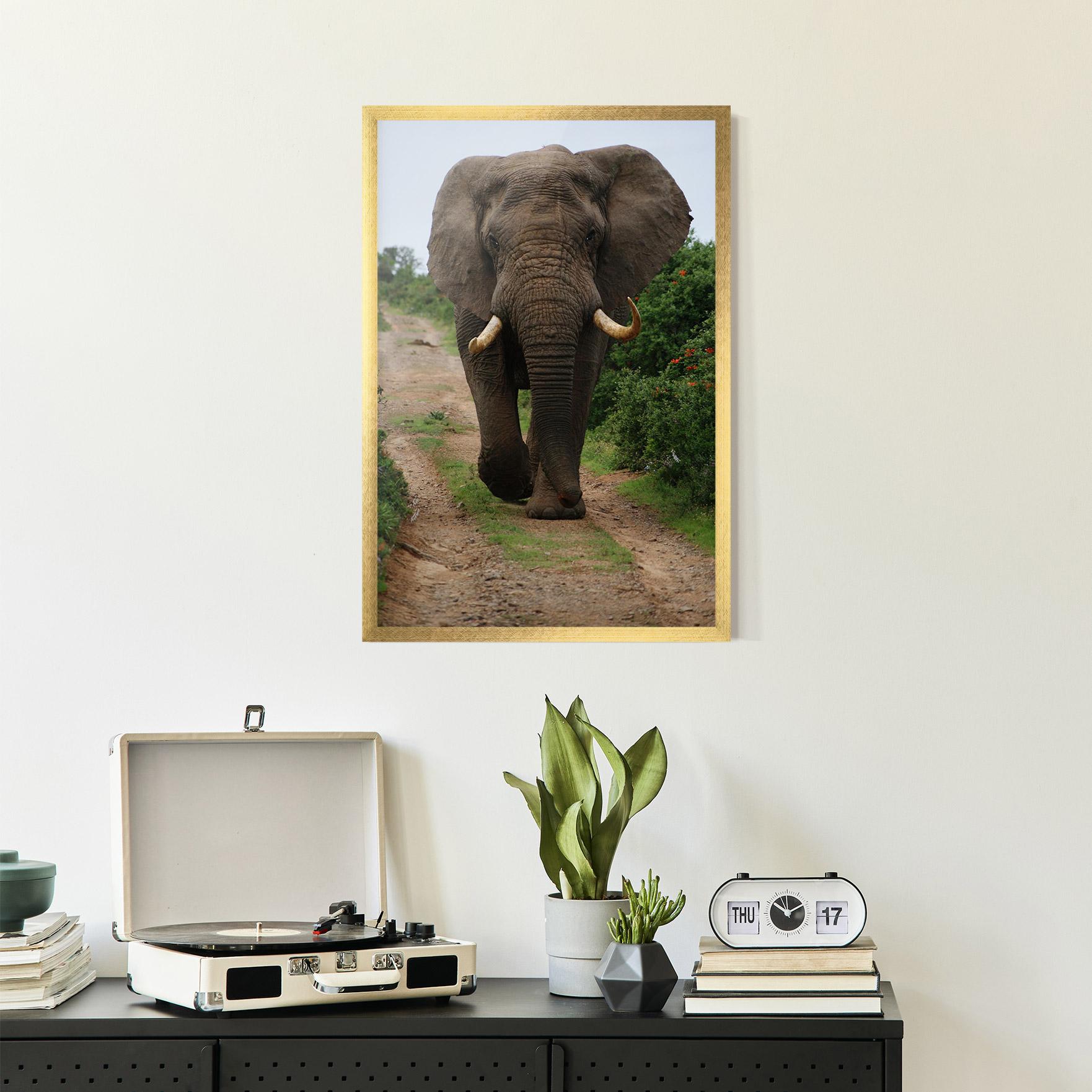 Plakat w Ramie Elephant Safari mockup 2