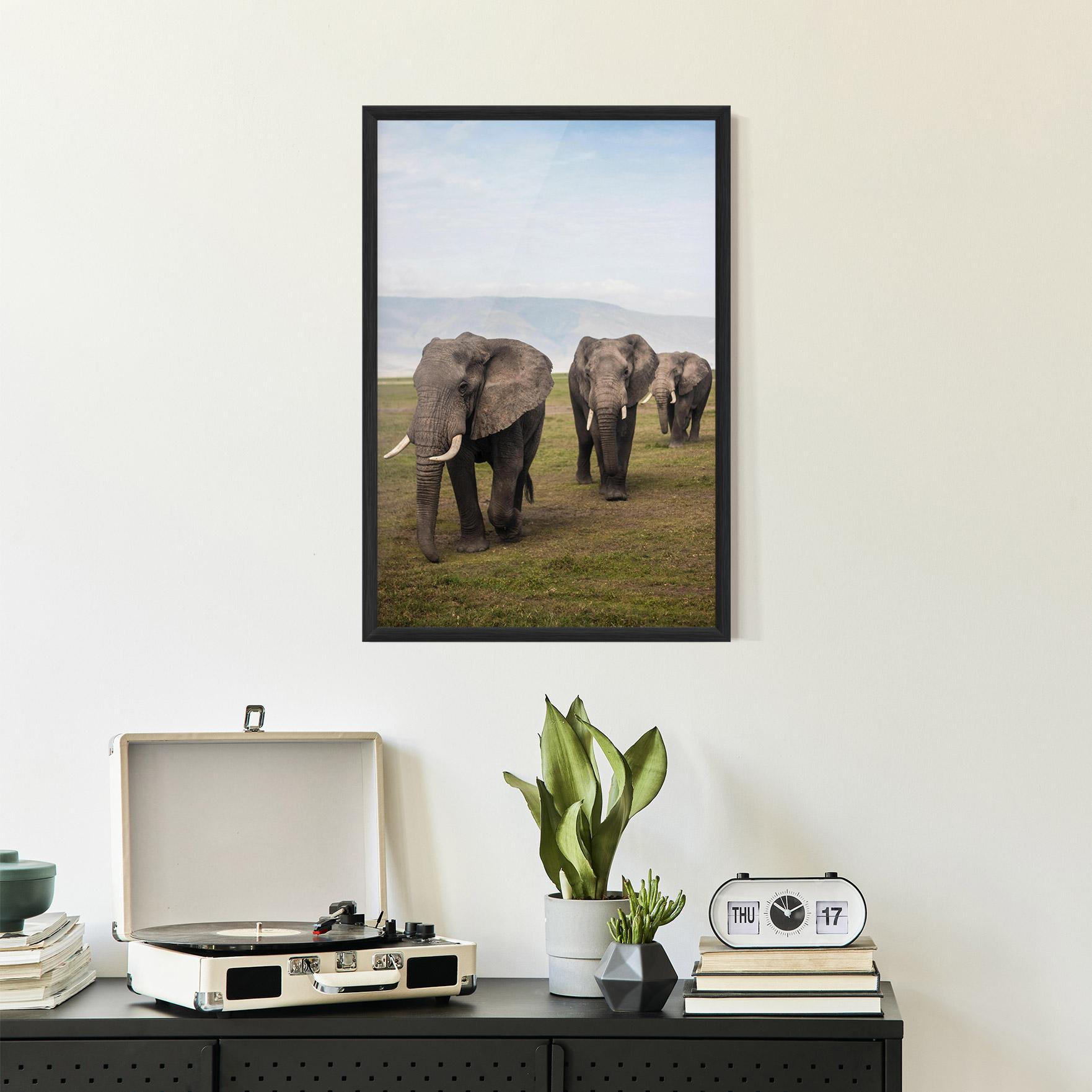 Plakat w Ramie Elephant Landscape mockup 2