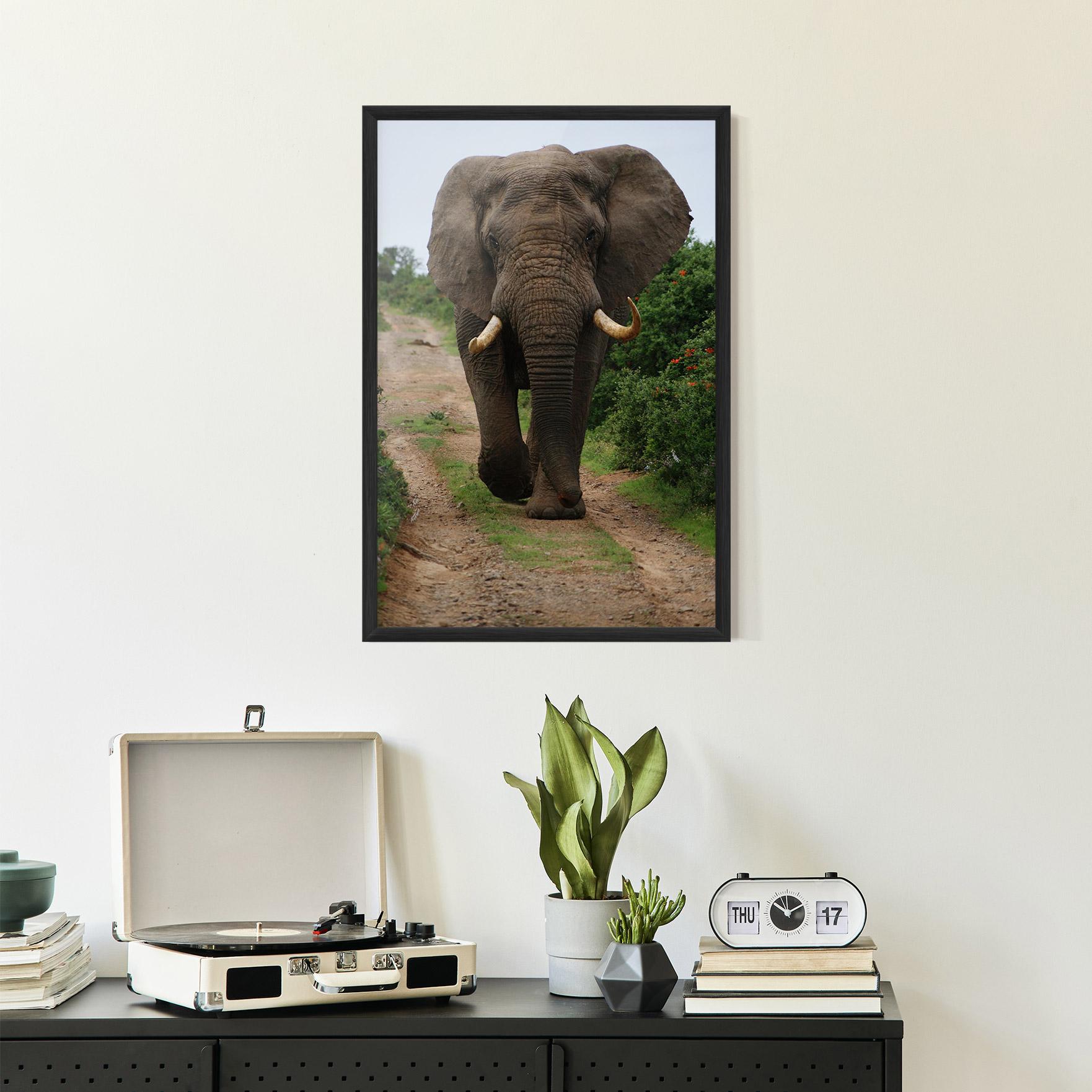 Plakat w Ramie Elephant Safari mockup 2