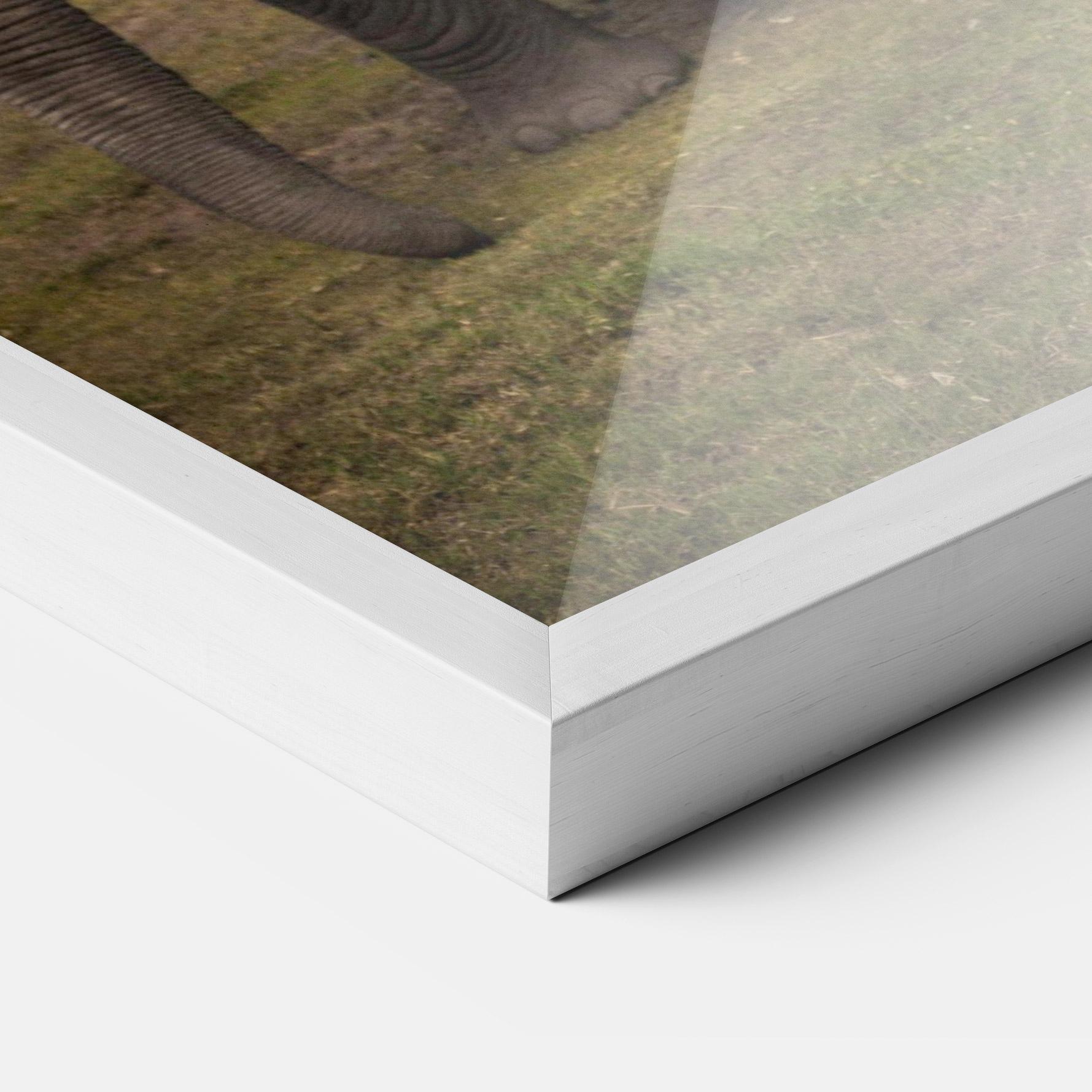 Plakat w Ramie Elephant Landscape mockup 3