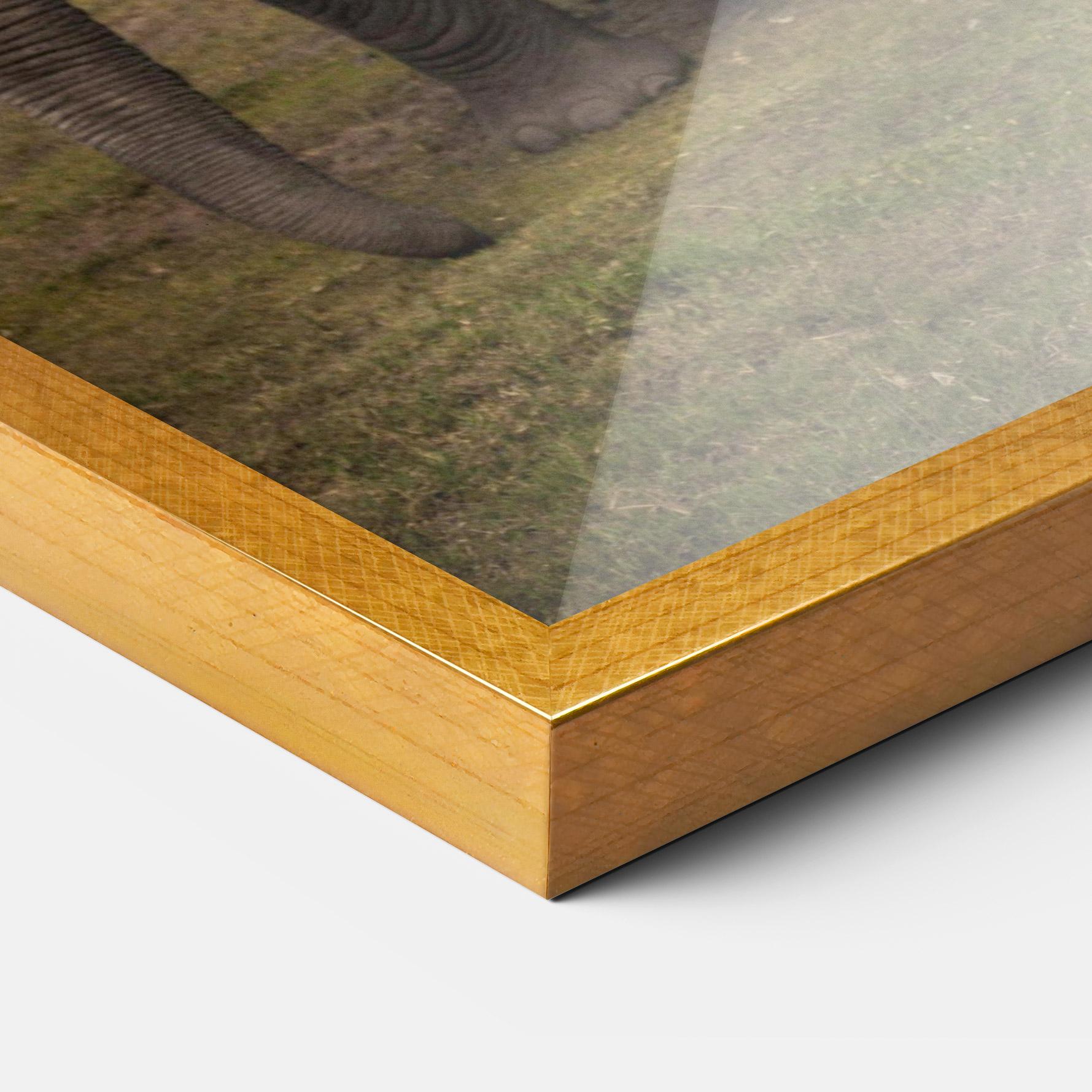 Plakat w Ramie Elephant Landscape mockup 3