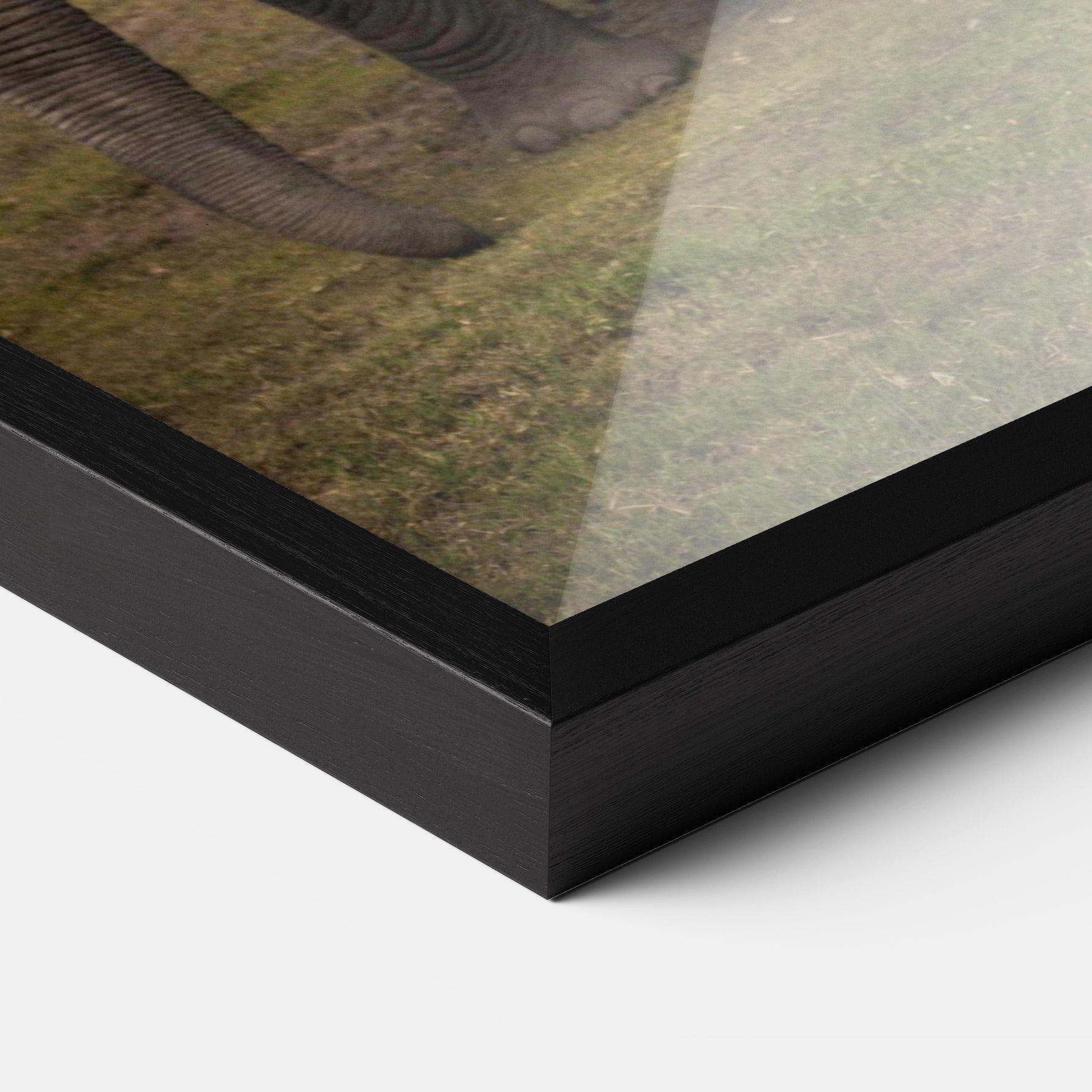 Plakat w Ramie Elephant Landscape mockup 3