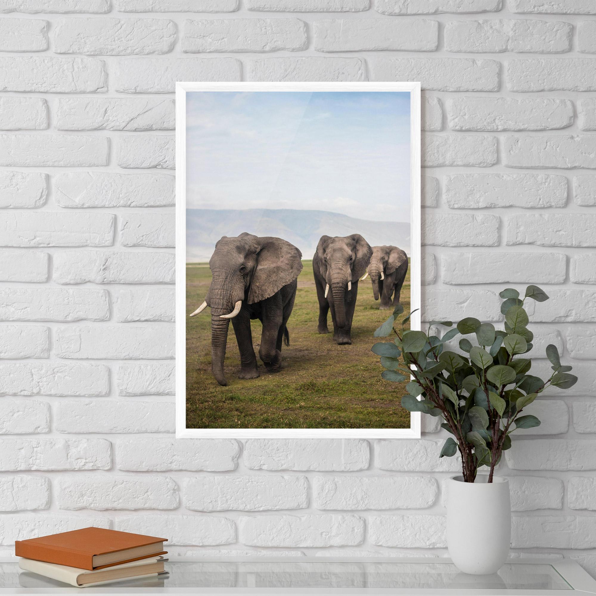 Plakat w Ramie Elephant Landscape mockup 5