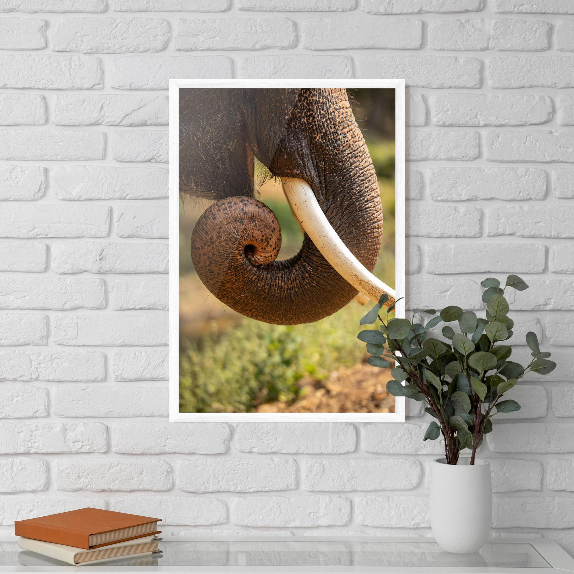Plakat w Ramie Elephant Mouth Close Up mockup 5