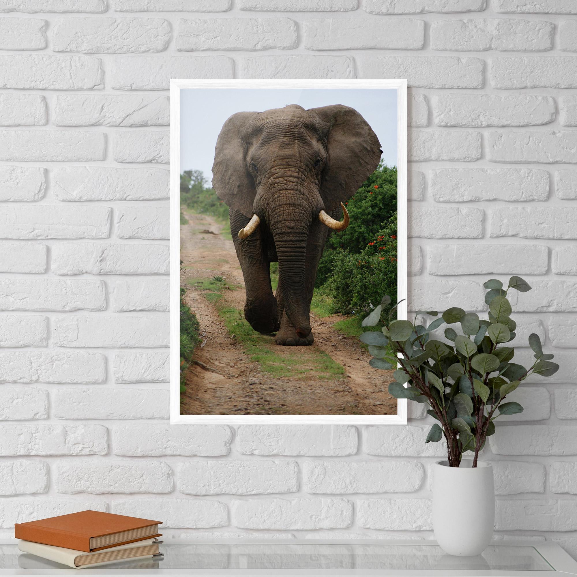 Plakat w Ramie Elephant Safari mockup 5