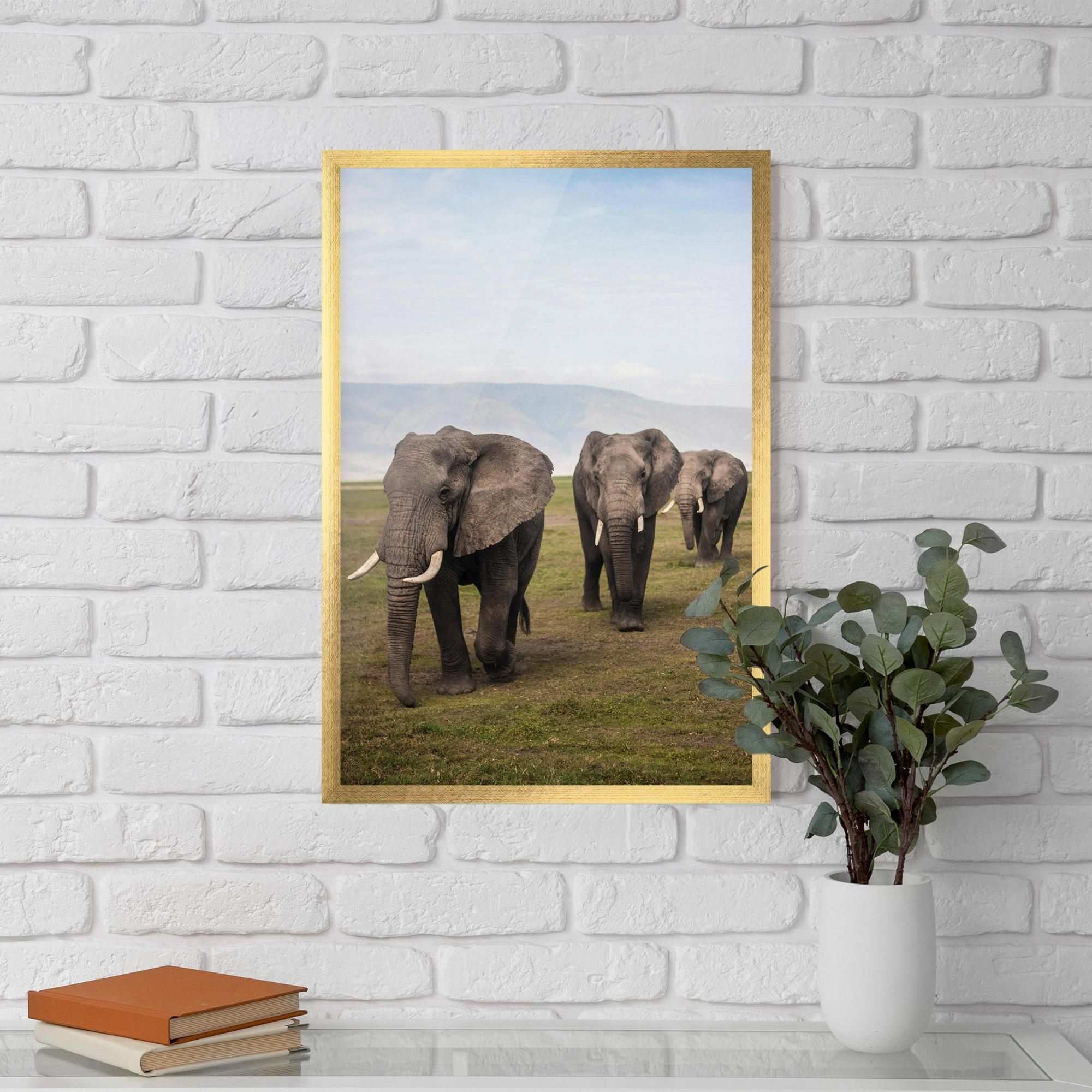 Plakat w Ramie Elephant Landscape mockup 5