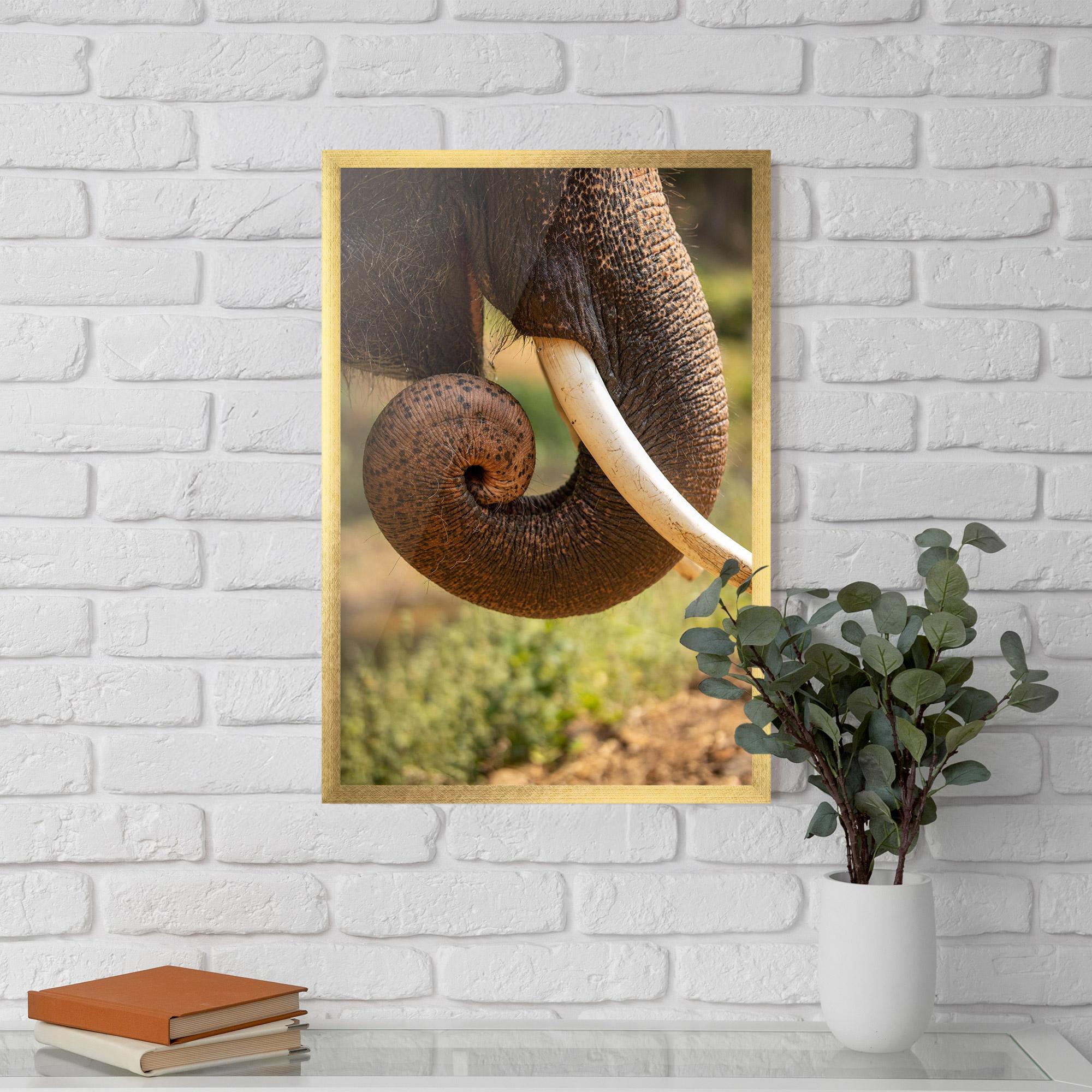 Plakat w Ramie Elephant Mouth Close Up mockup 5