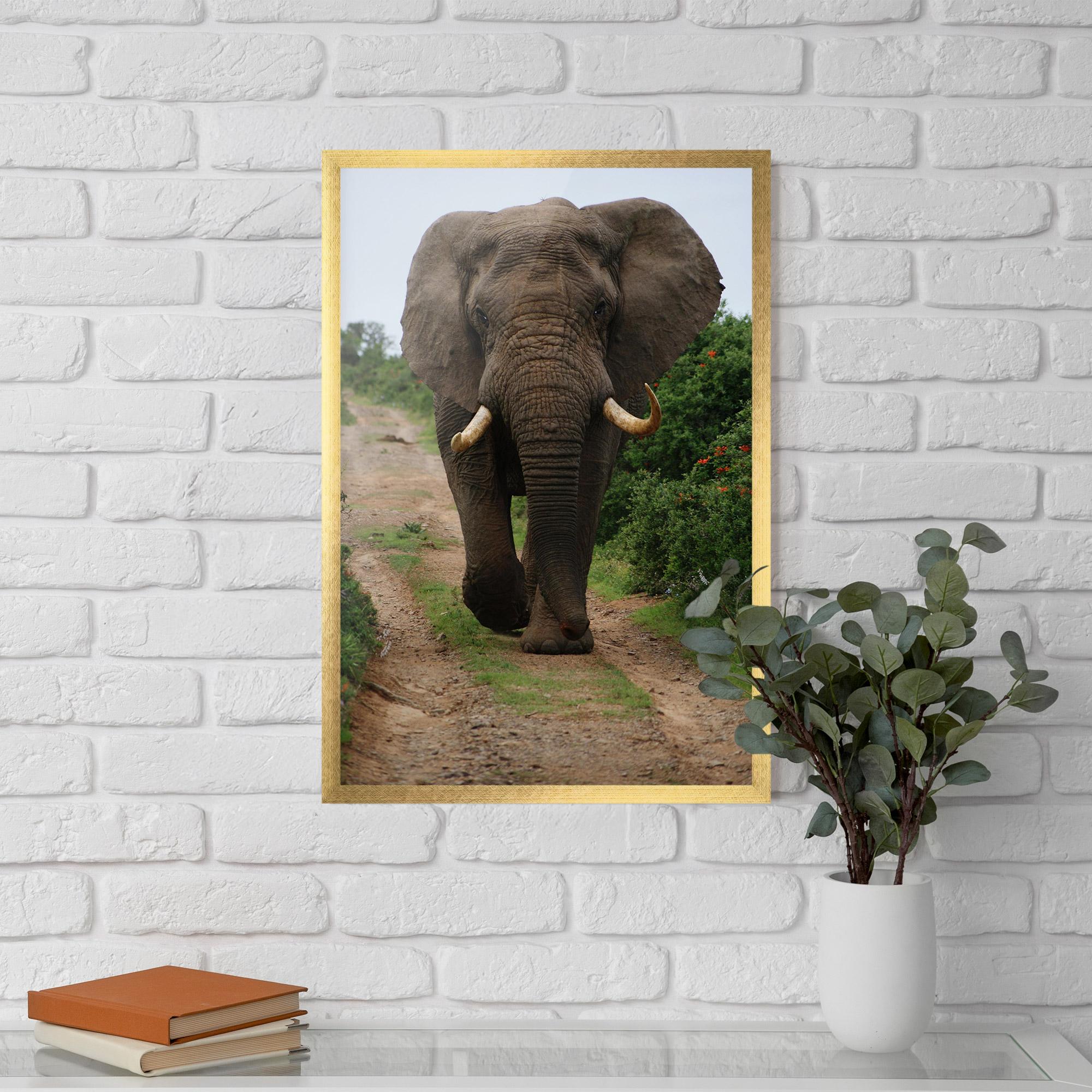 Plakat w Ramie Elephant Safari mockup 5