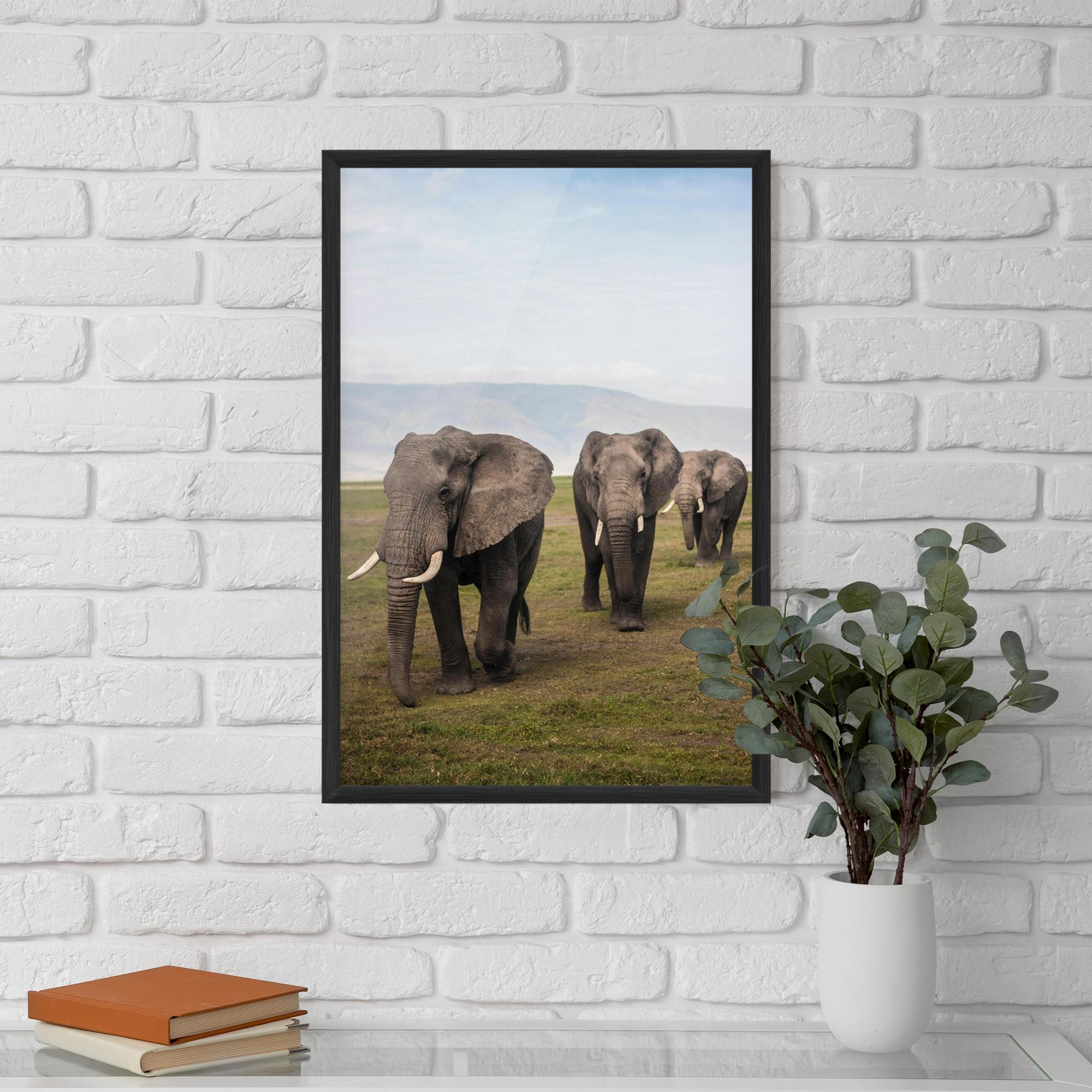 Plakat w Ramie Elephant Landscape mockup 5