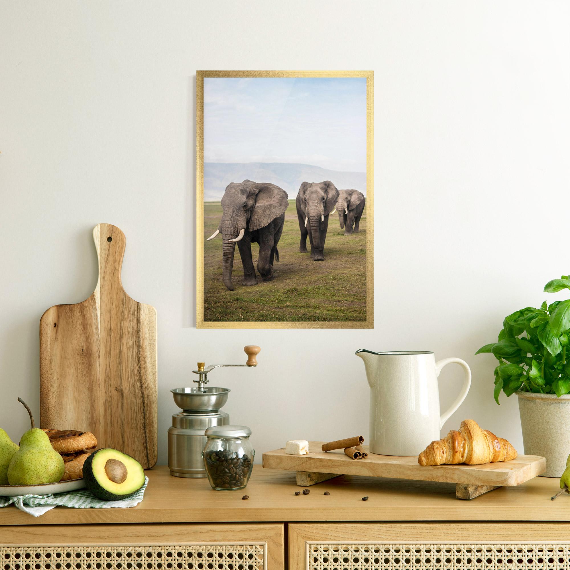 Plakat w Ramie Elephant Landscape mockup 8