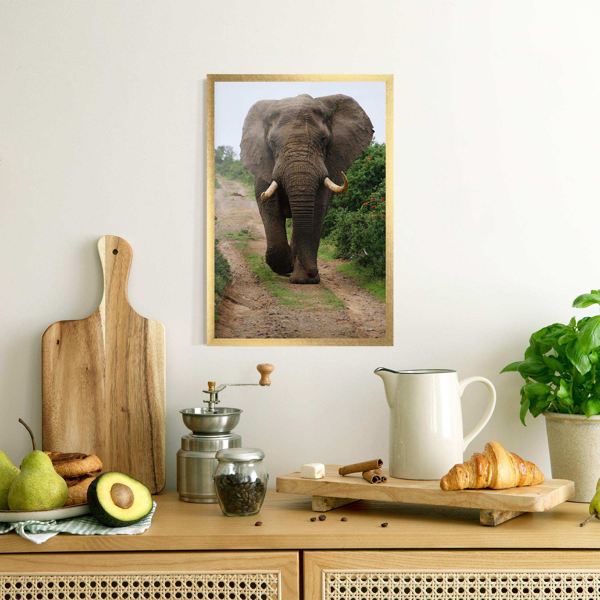 Plakat w Ramie Elephant Safari mockup 8