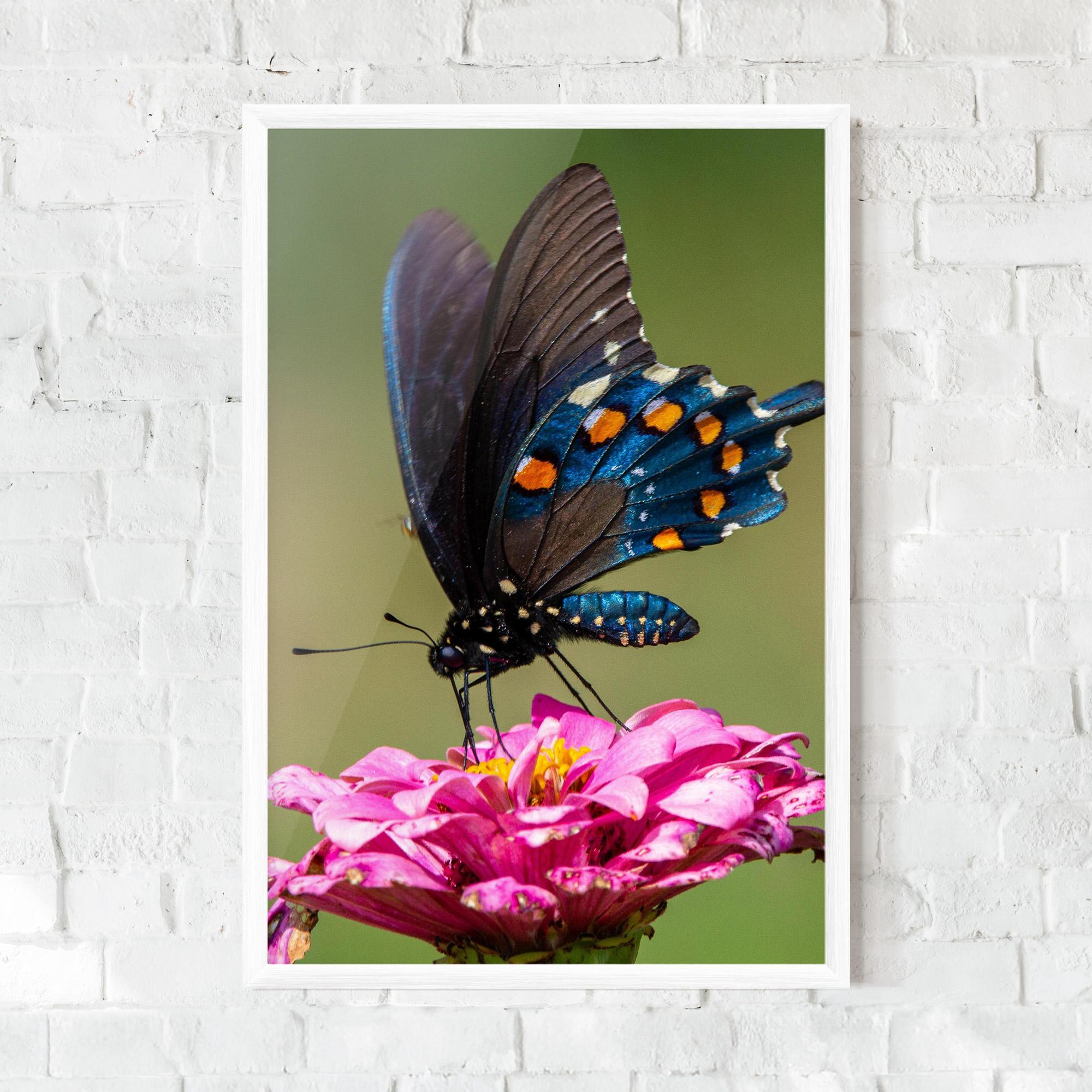 Plakat w Ramie Blue Grey Butterfly mockup 0