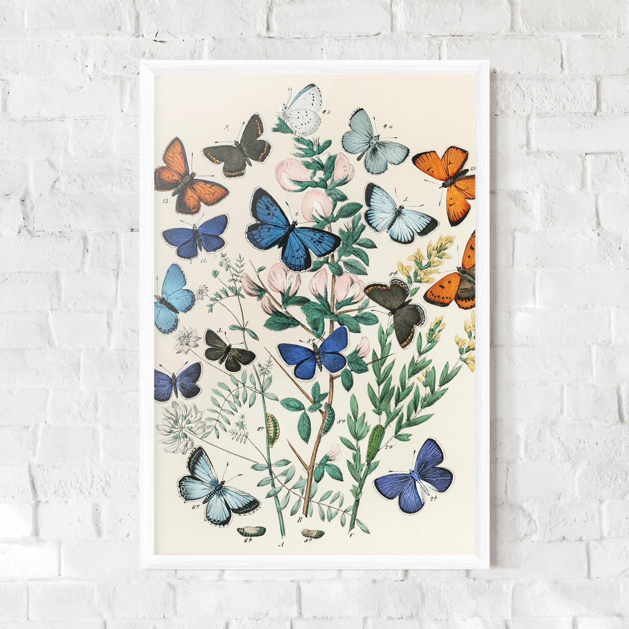 Plakat w Ramie Blue Orange Butterflies mockup 0
