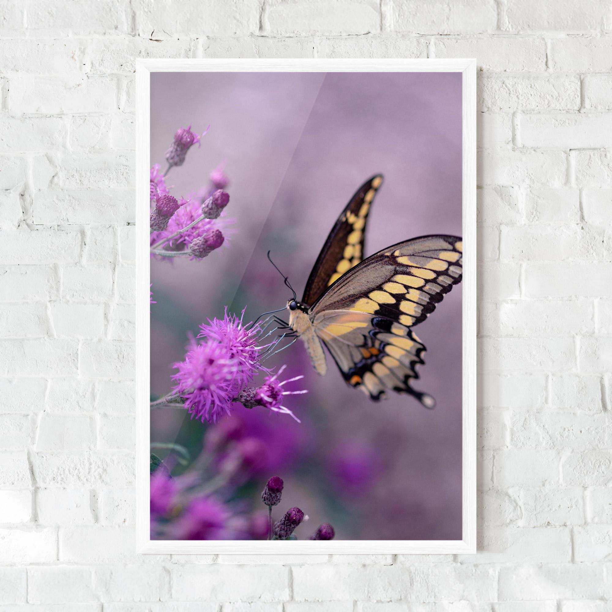 Plakat w Ramie Cream Black Butterfly mockup 0