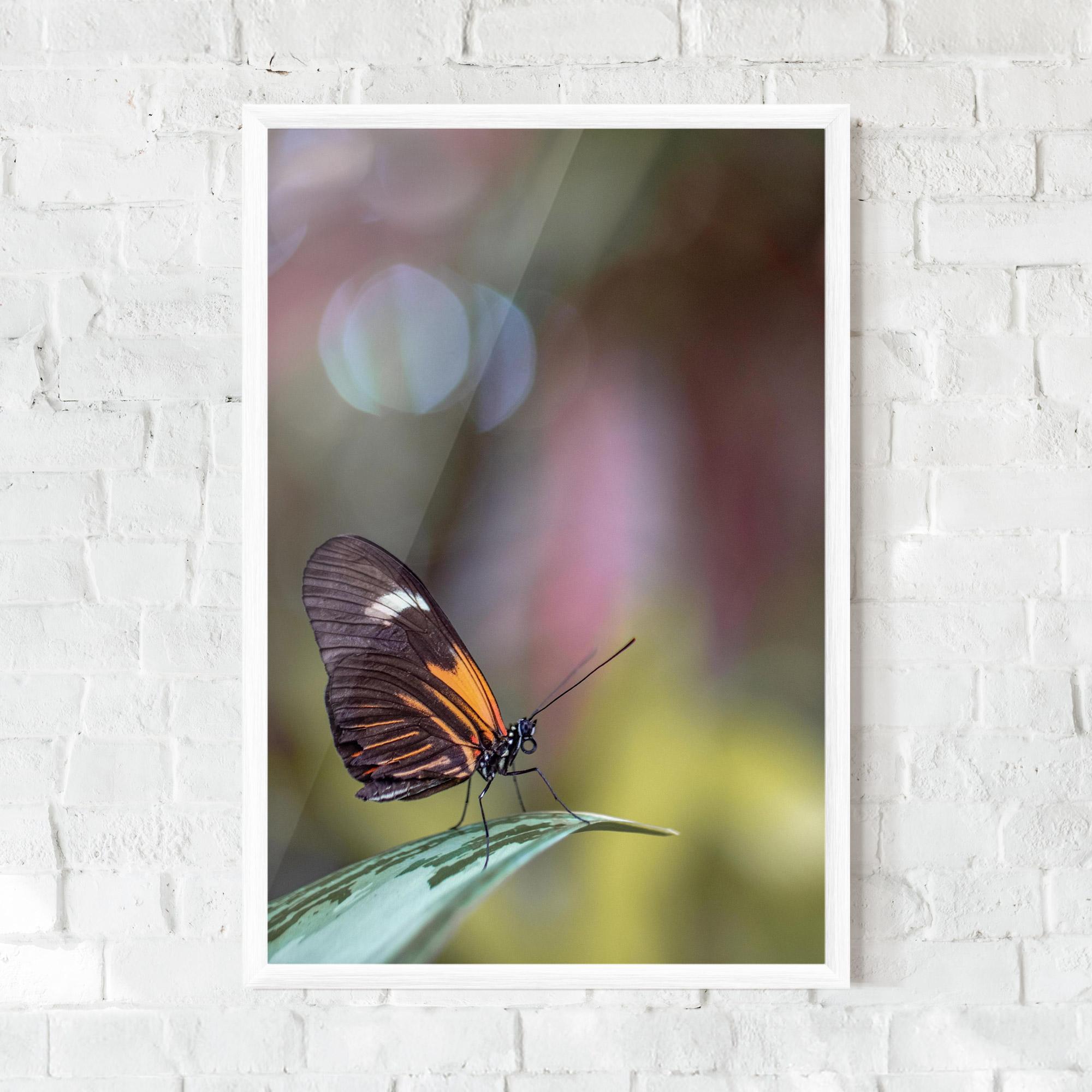 Plakat w Ramie Dark Purple Butterfly mockup 0