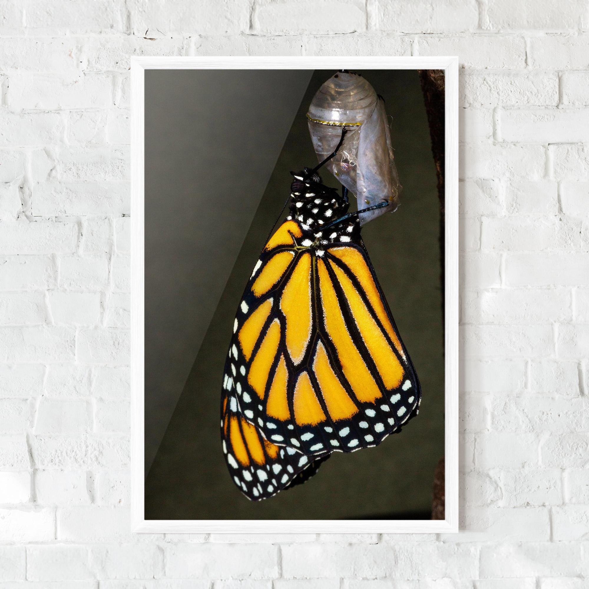 Plakat w Ramie Dark Yellow Butterfly mockup 0