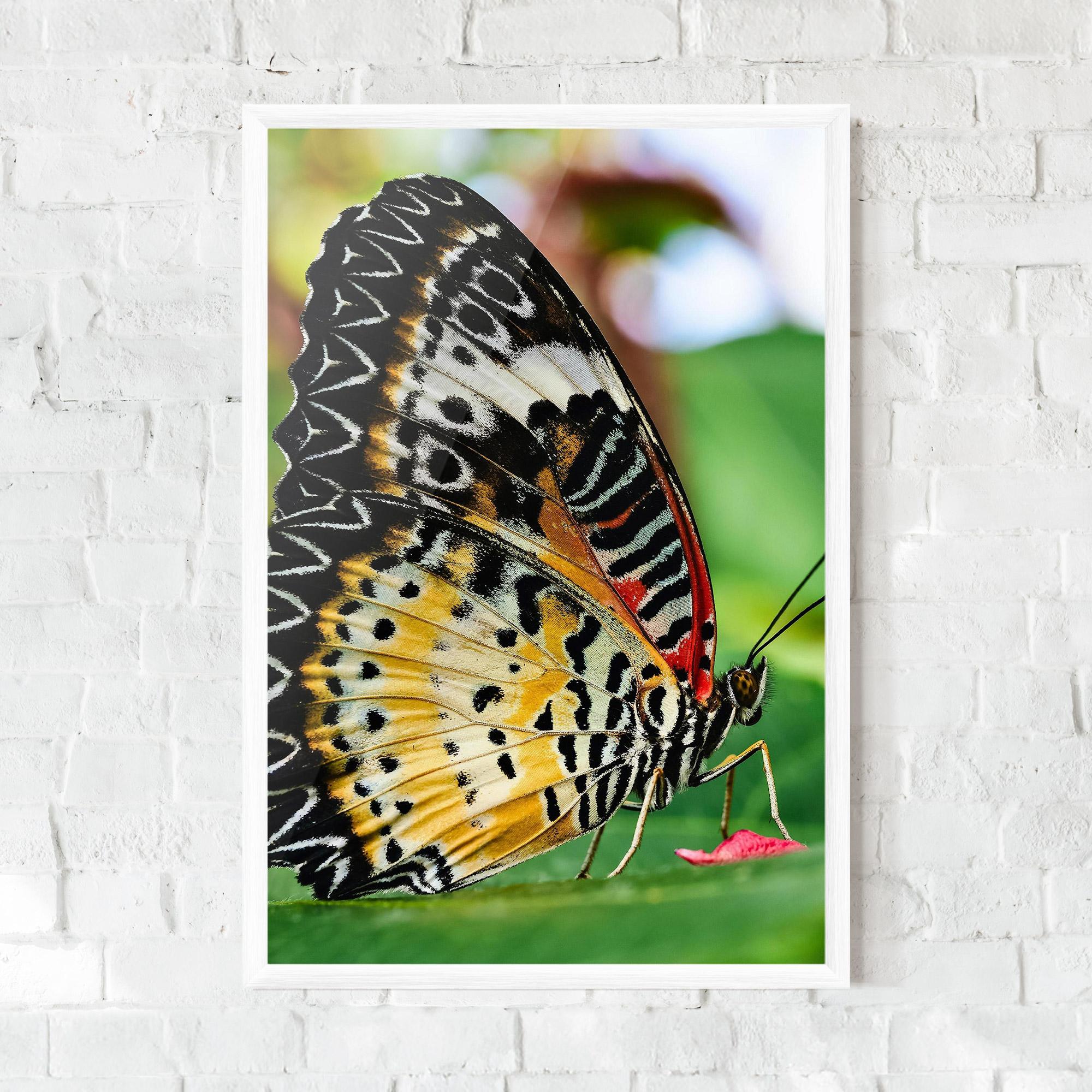 Plakat w Ramie Pretty Colorful Butterfly mockup 0