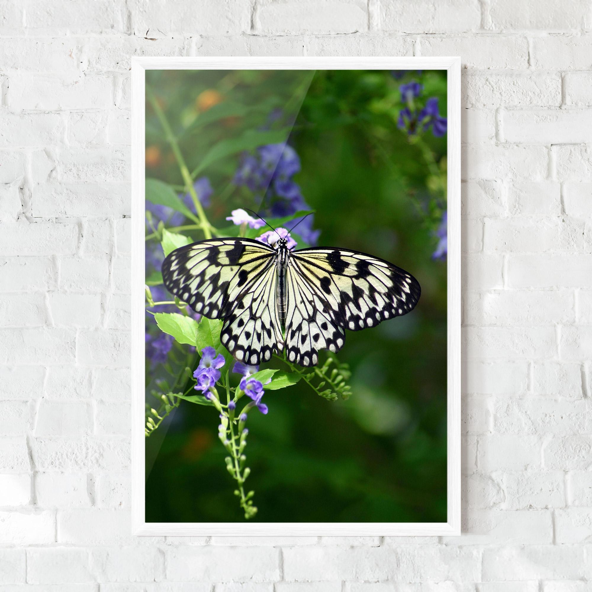 Plakat w Ramie Pretty White Butterfly mockup 0