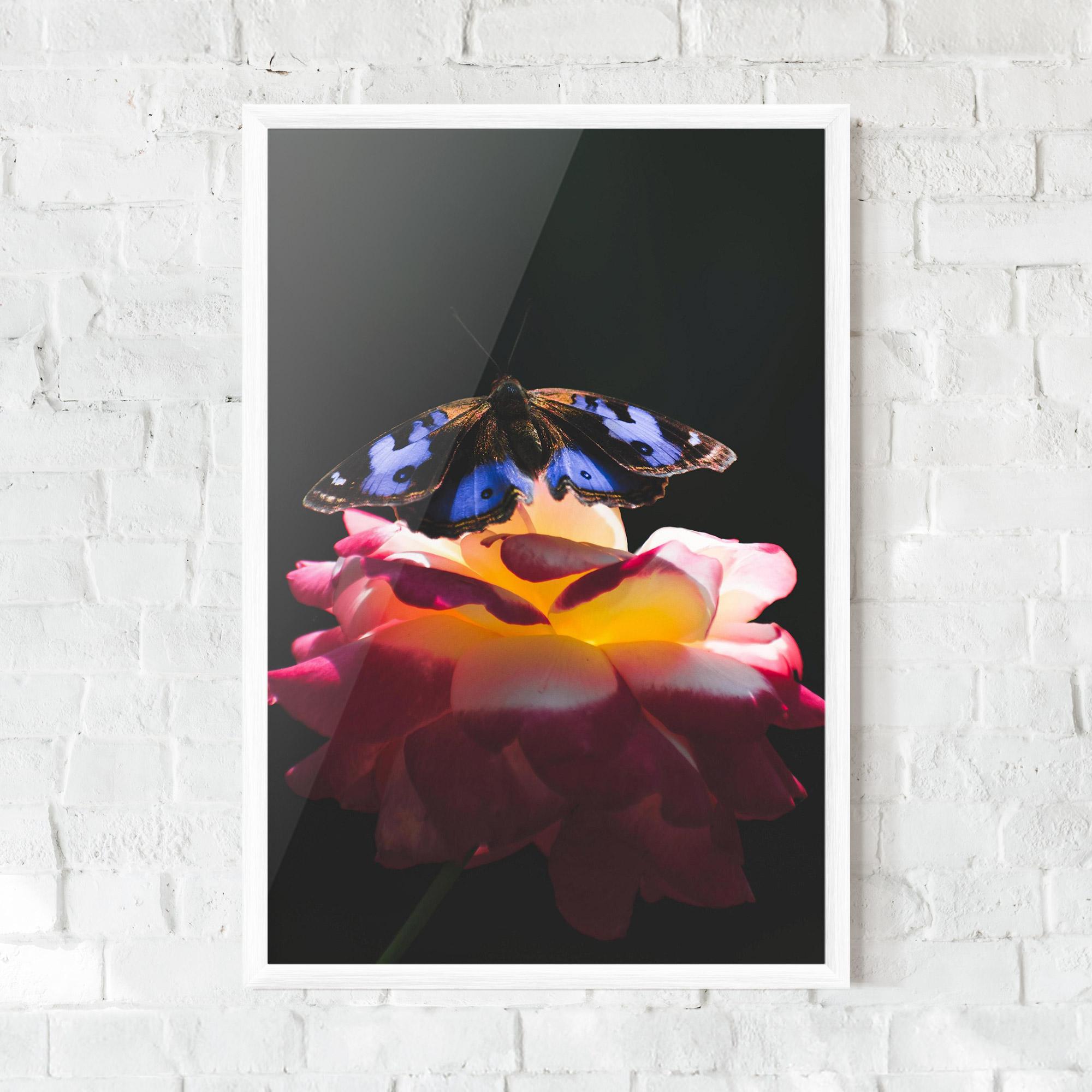Plakat w Ramie Rose Butterfly mockup 0