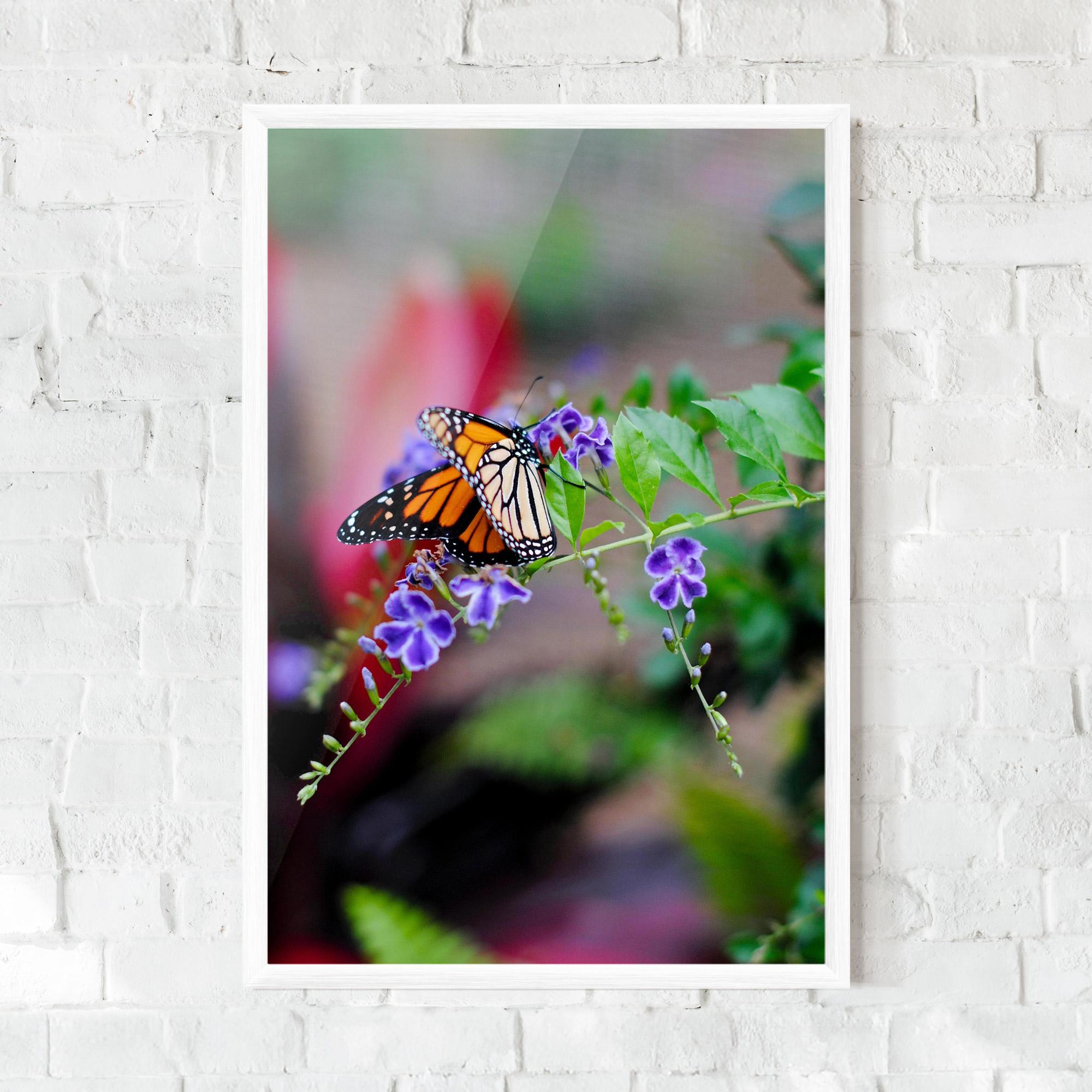 Plakat w Ramie Strong Orange Butterfly mockup 0