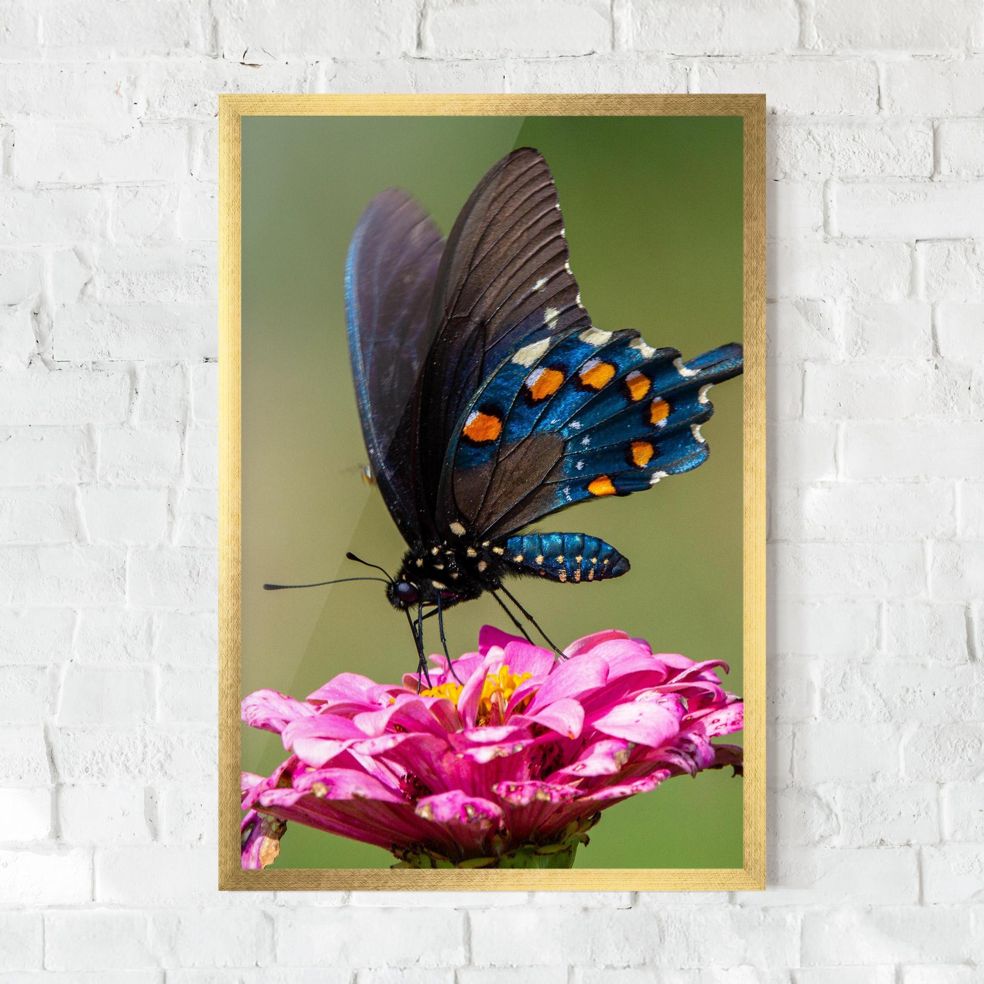 Plakat w Ramie Blue Grey Butterfly mockup 0