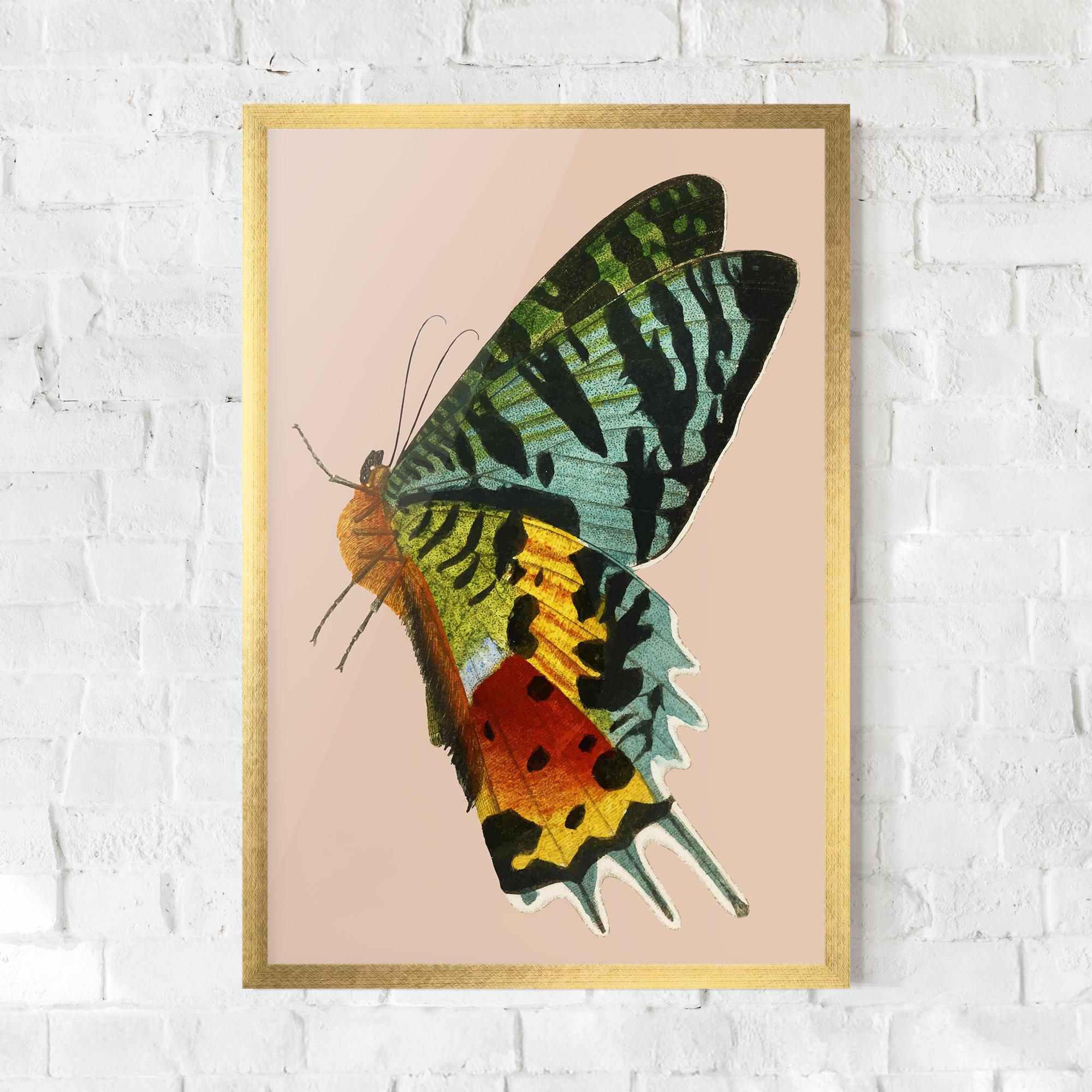 Plakat w Ramie Butterfly On Pink mockup 0