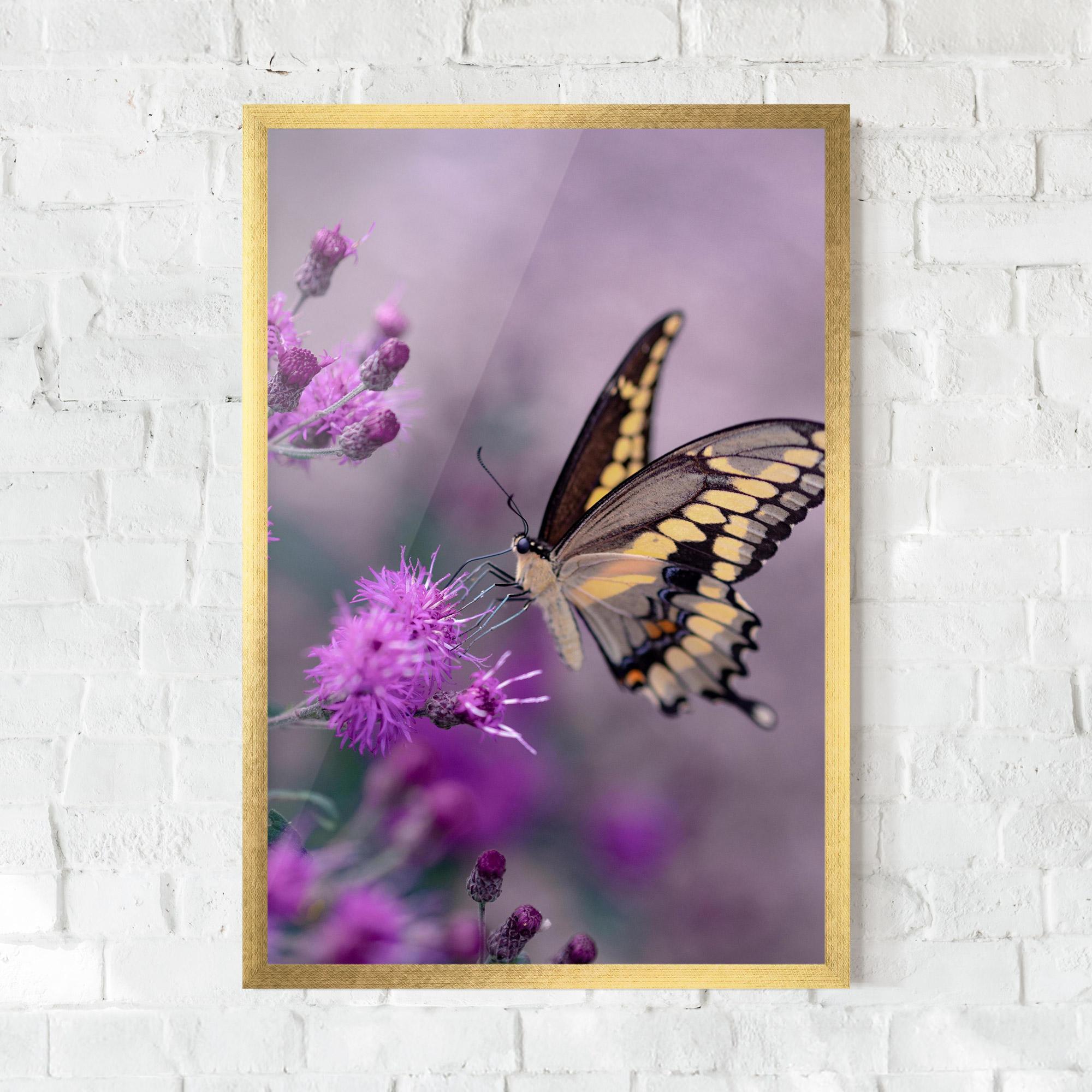 Plakat w Ramie Cream Black Butterfly mockup 0