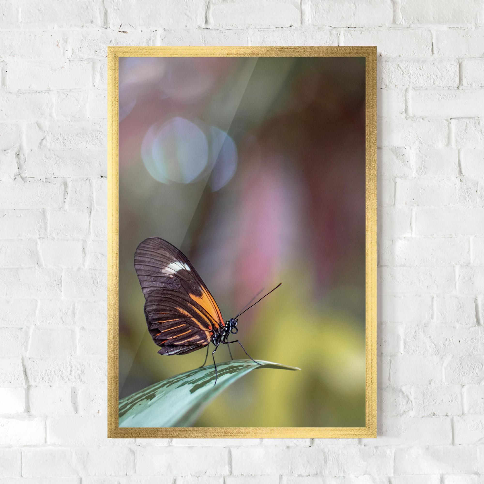 Plakat w Ramie Dark Purple Butterfly mockup 0