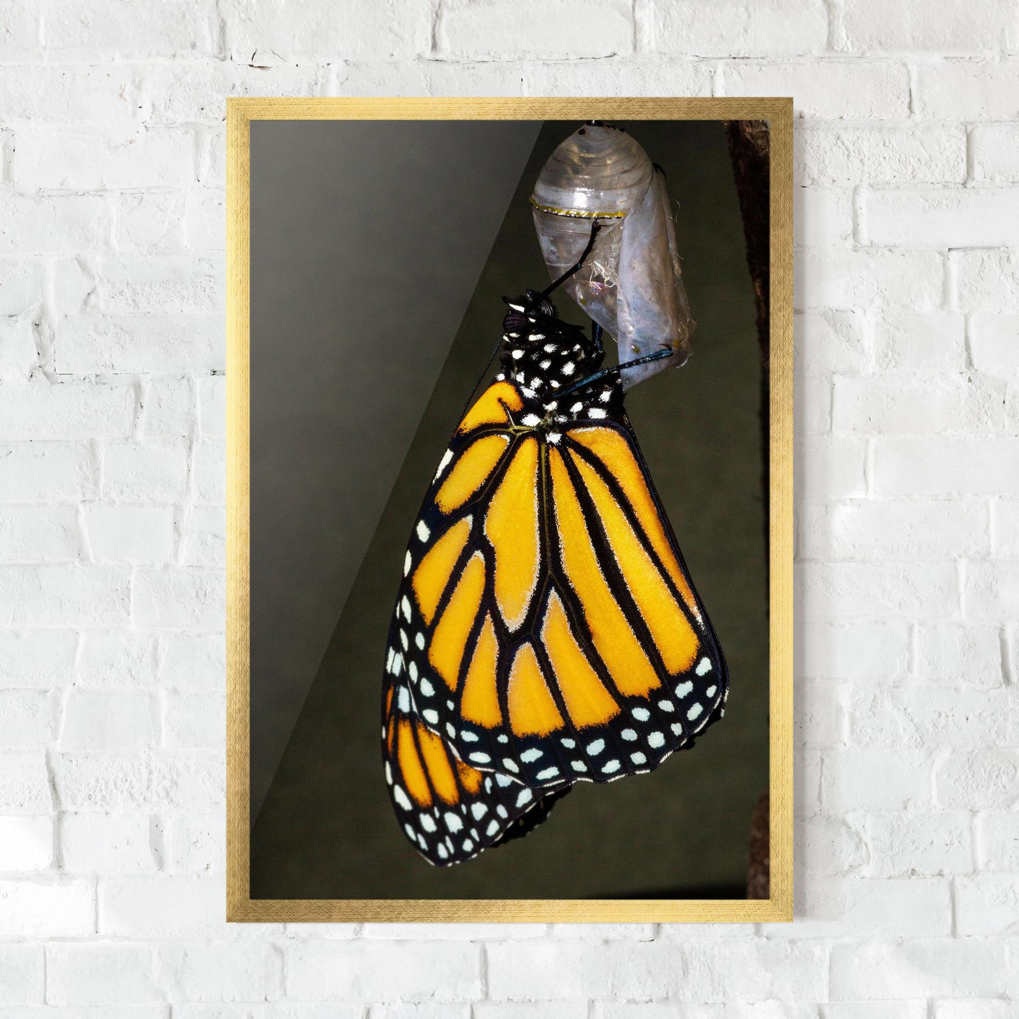 Plakat w Ramie Dark Yellow Butterfly mockup 0