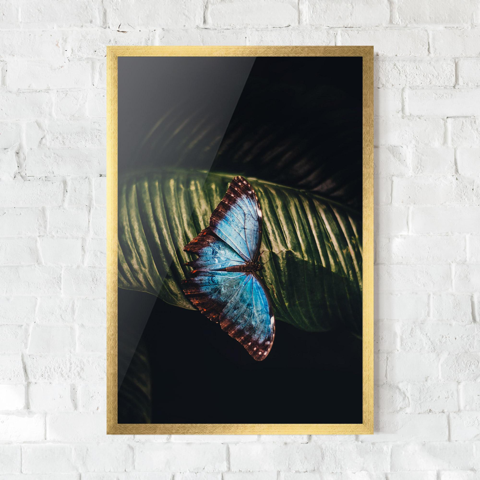 Plakat w Ramie Light Blue Butterfly mockup 0