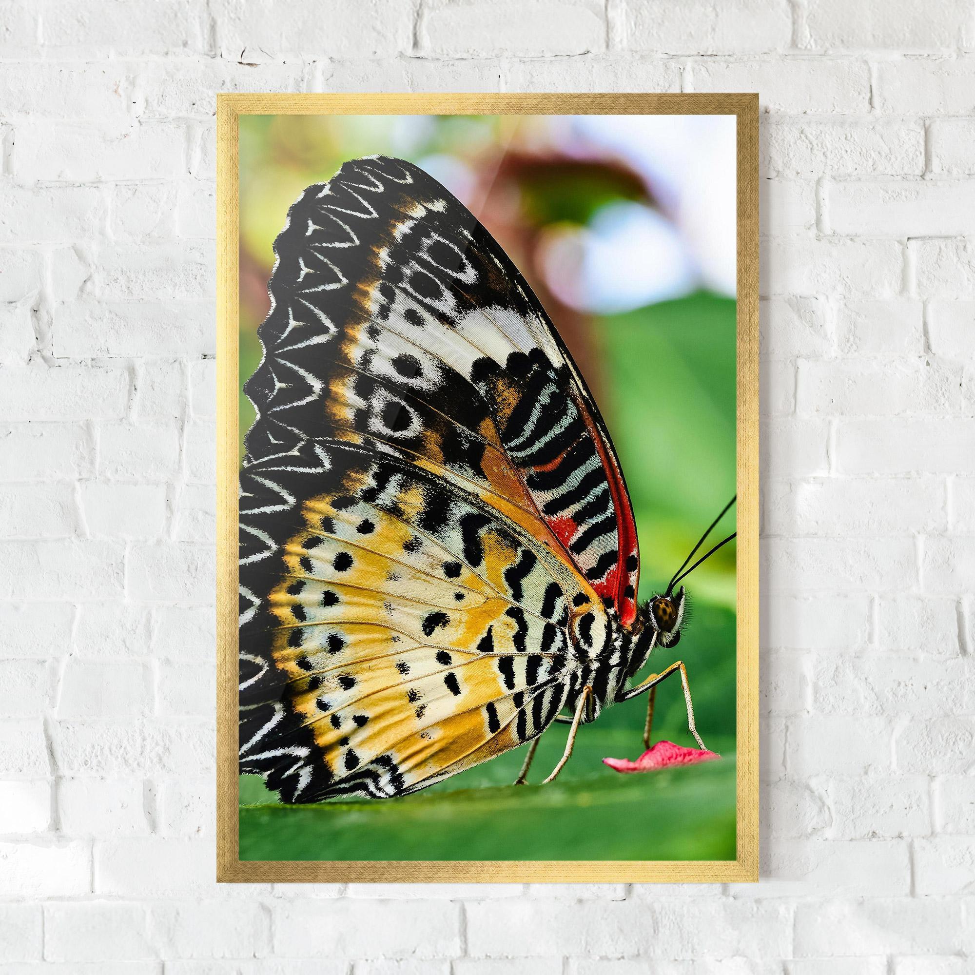 Plakat w Ramie Pretty Colorful Butterfly mockup 0
