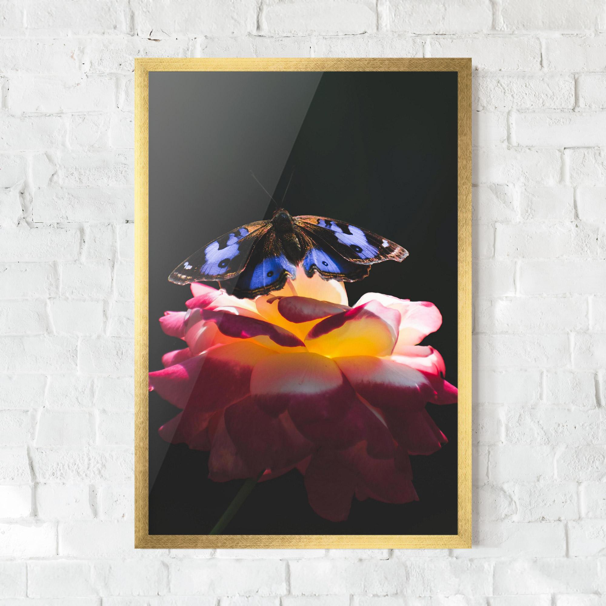 Plakat w Ramie Rose Butterfly mockup 0