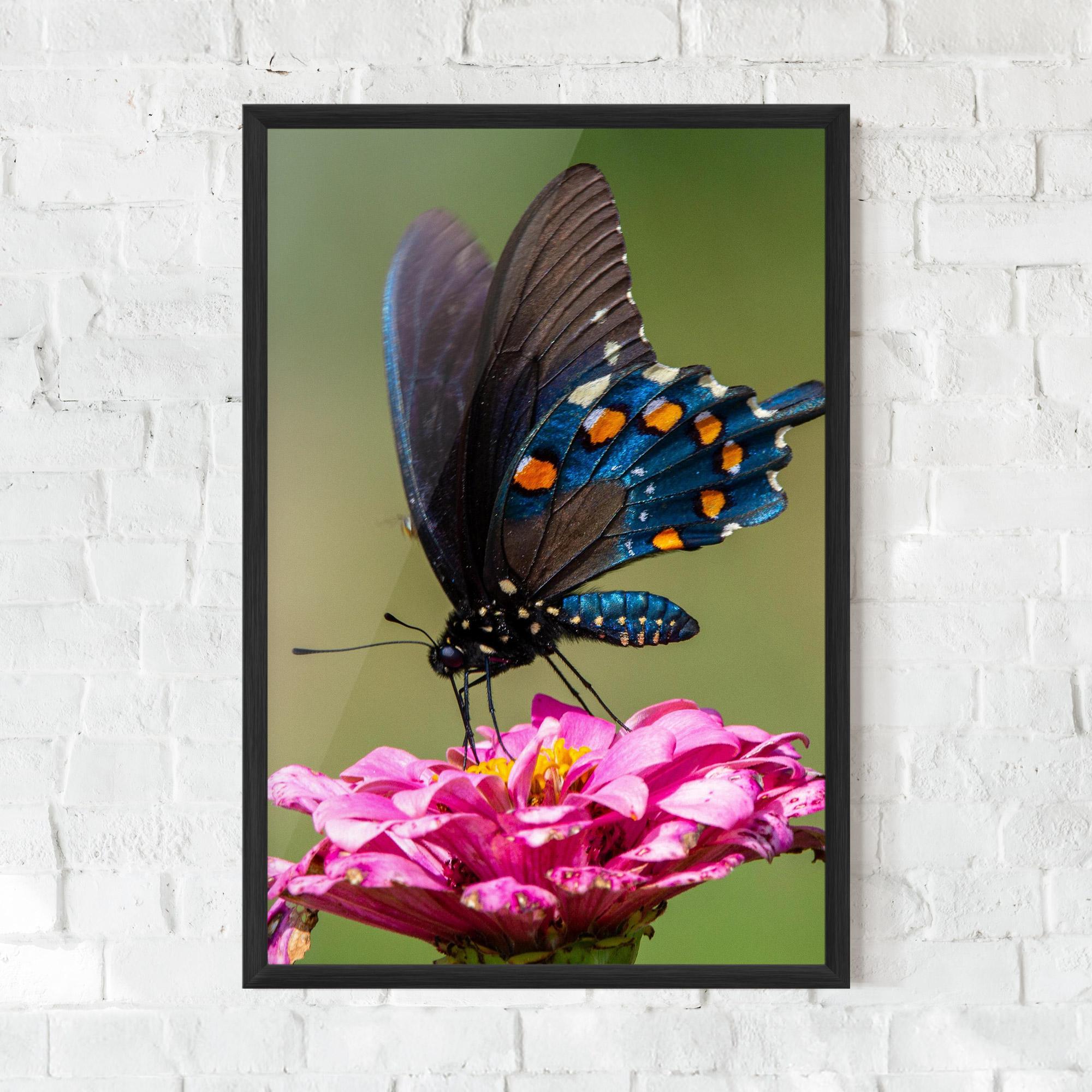 Plakat w Ramie Blue Grey Butterfly mockup 0