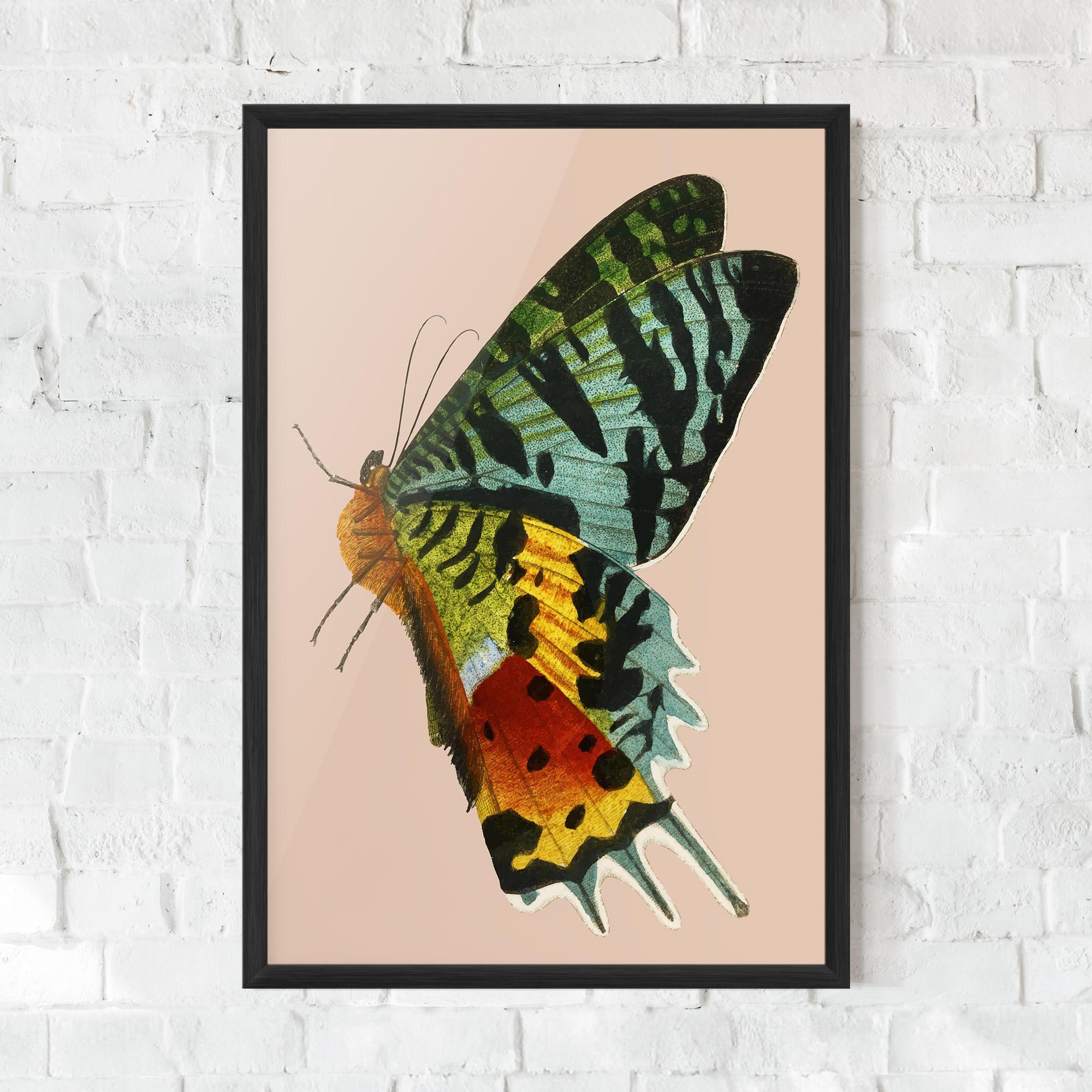 Plakat w Ramie Butterfly On Pink mockup 0