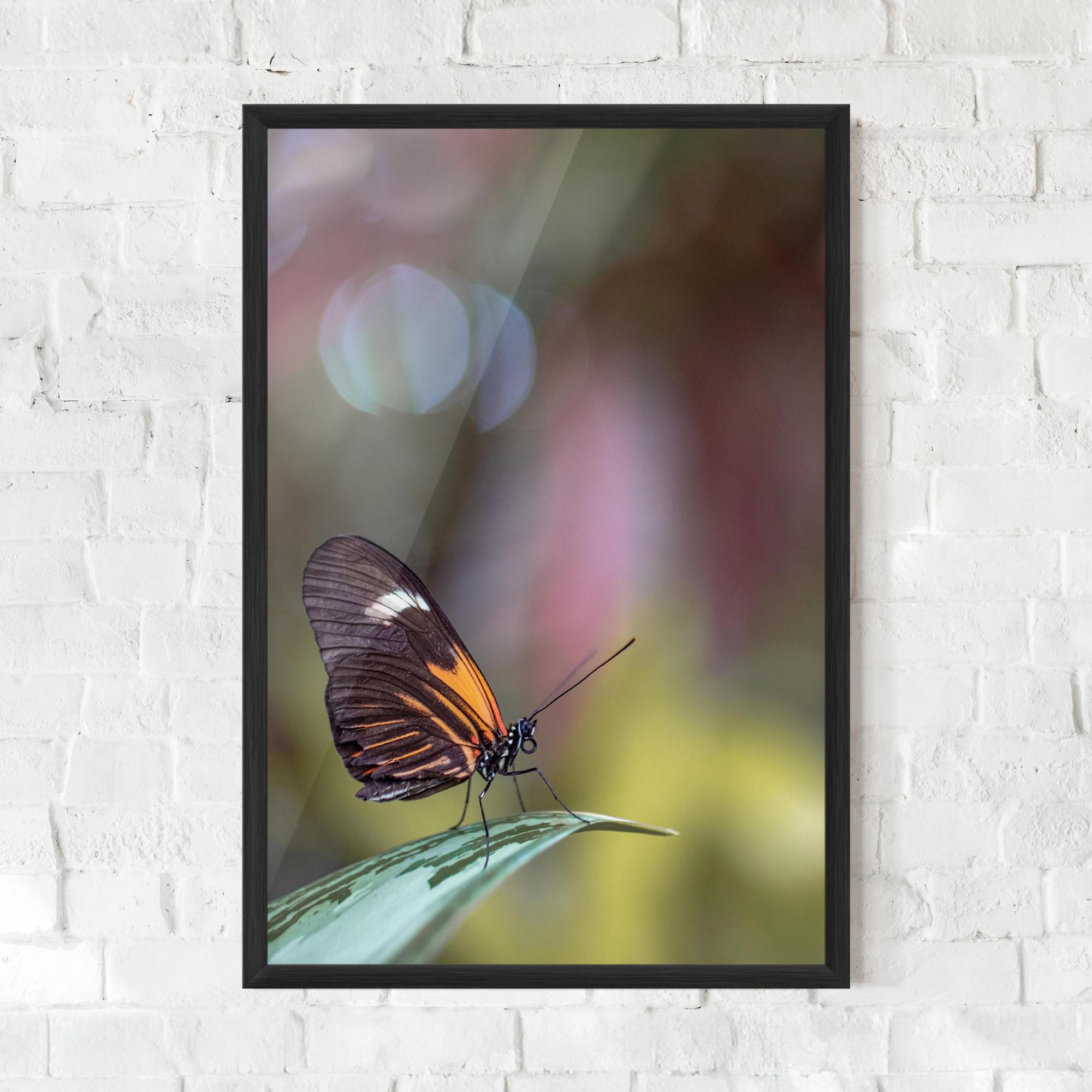 Plakat w Ramie Dark Purple Butterfly mockup 0